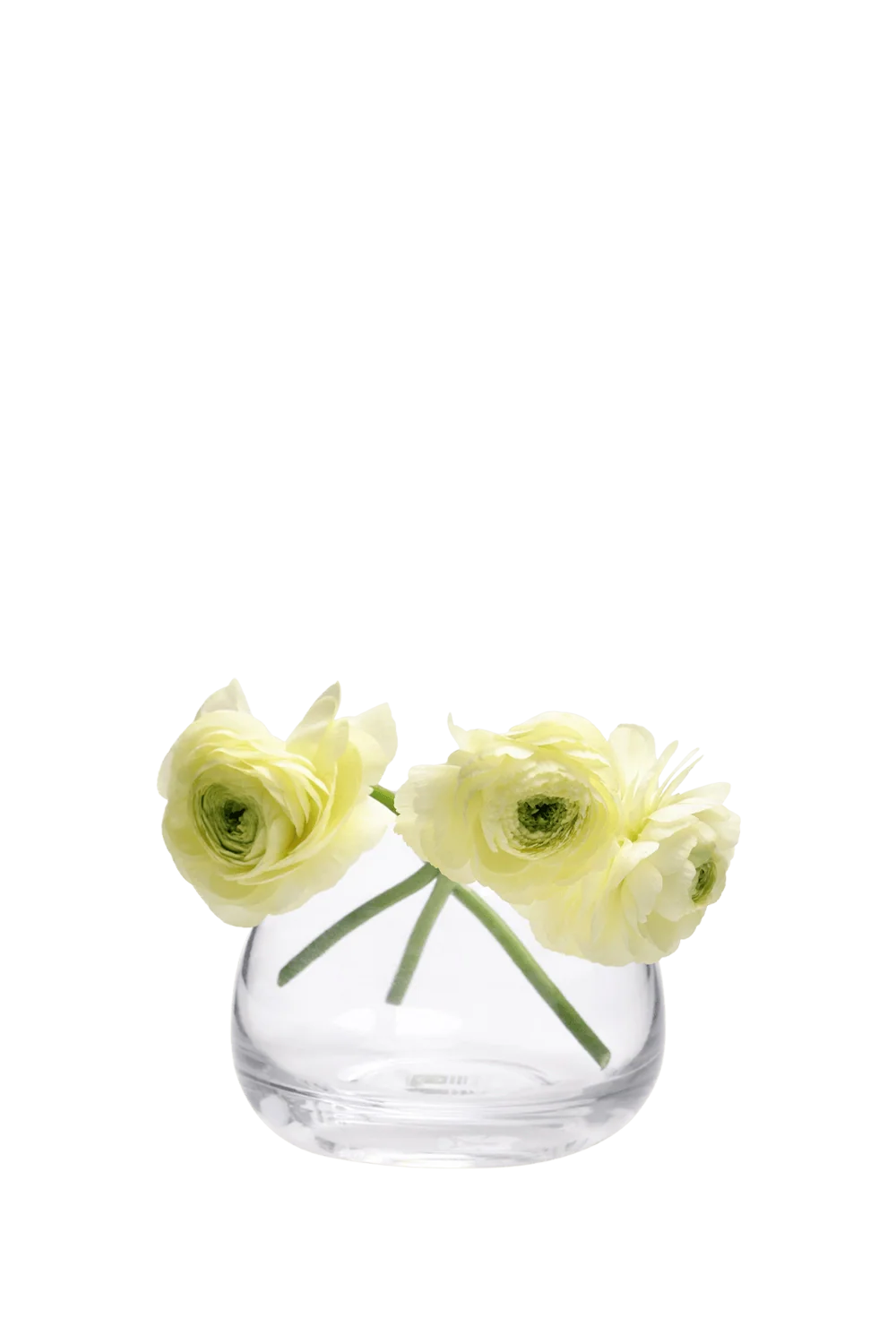 George Glass Clear Bud Vase For Flowers - Image 27