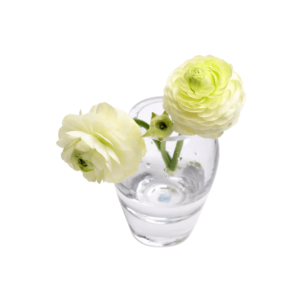 George Glass Clear Bud Vase For Flowers - Image 6
