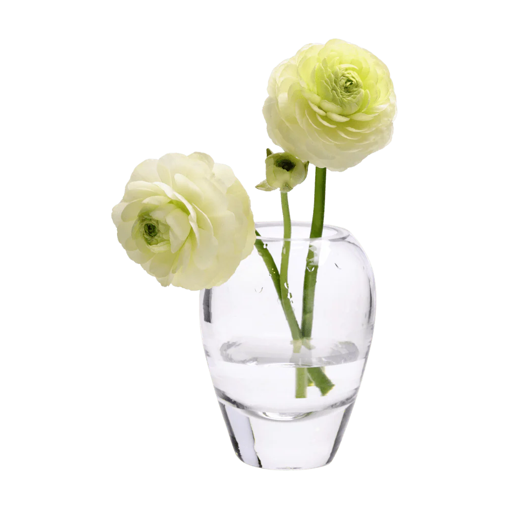 George Glass Clear Bud Vase For Flowers - Image 7