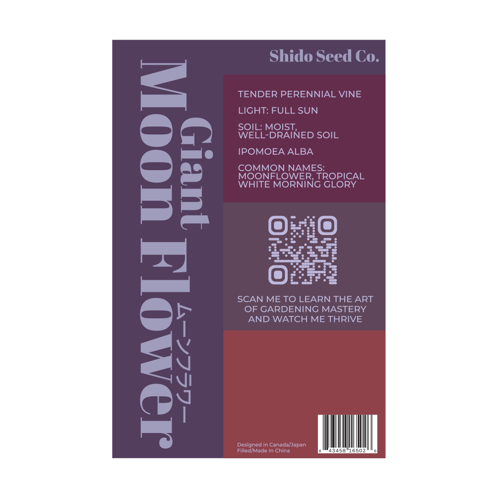 Giant Moonflower Flower Seeds Packet - Image 2