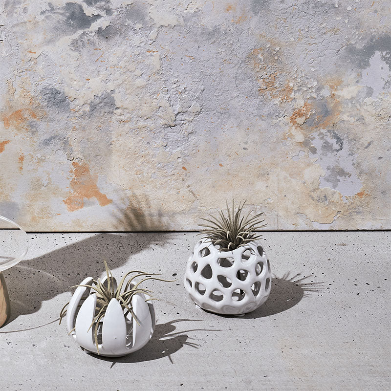Gideon Ceramic Air Plant Container - Image 3