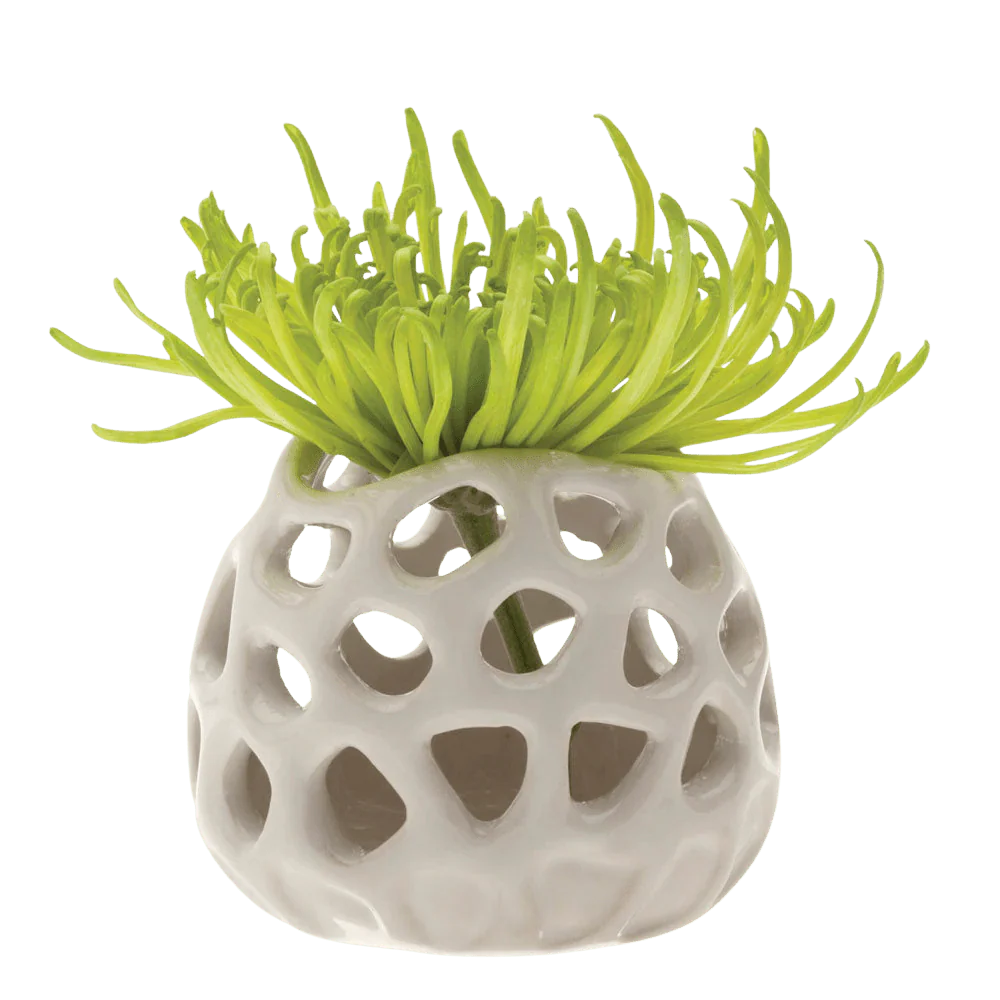 Gideon Ceramic Air Plant Container - Image 4