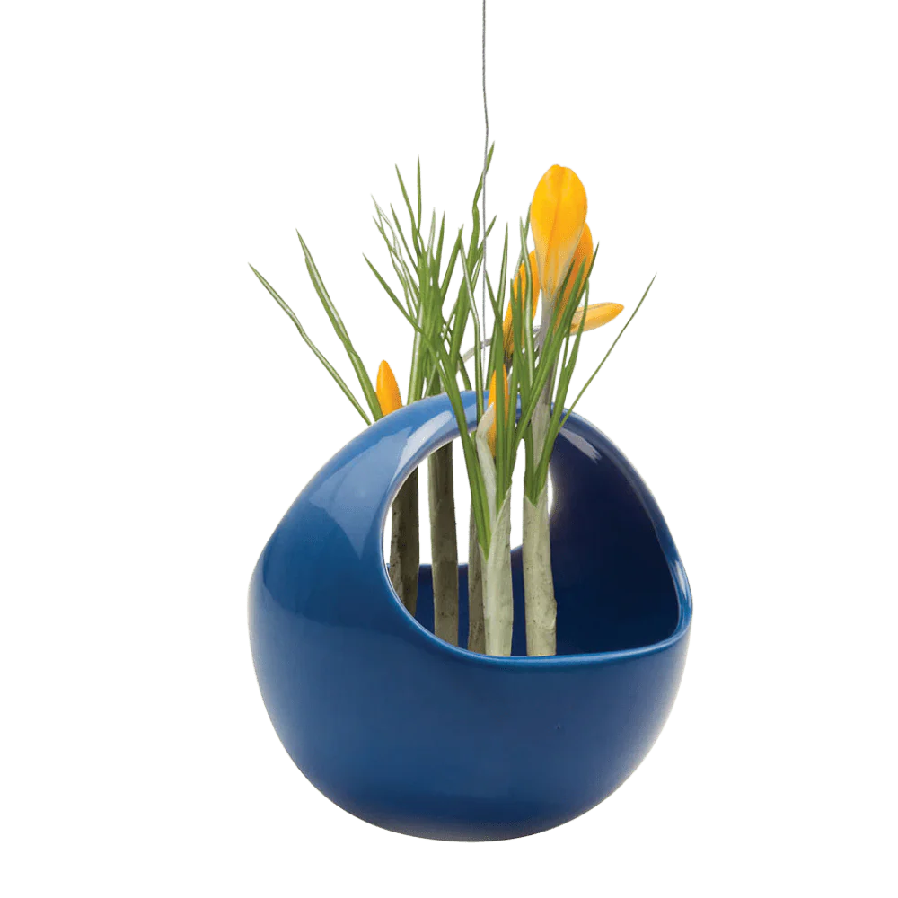 Hanging Aerium Ceramic For Succulents & Ikebana - Image 10