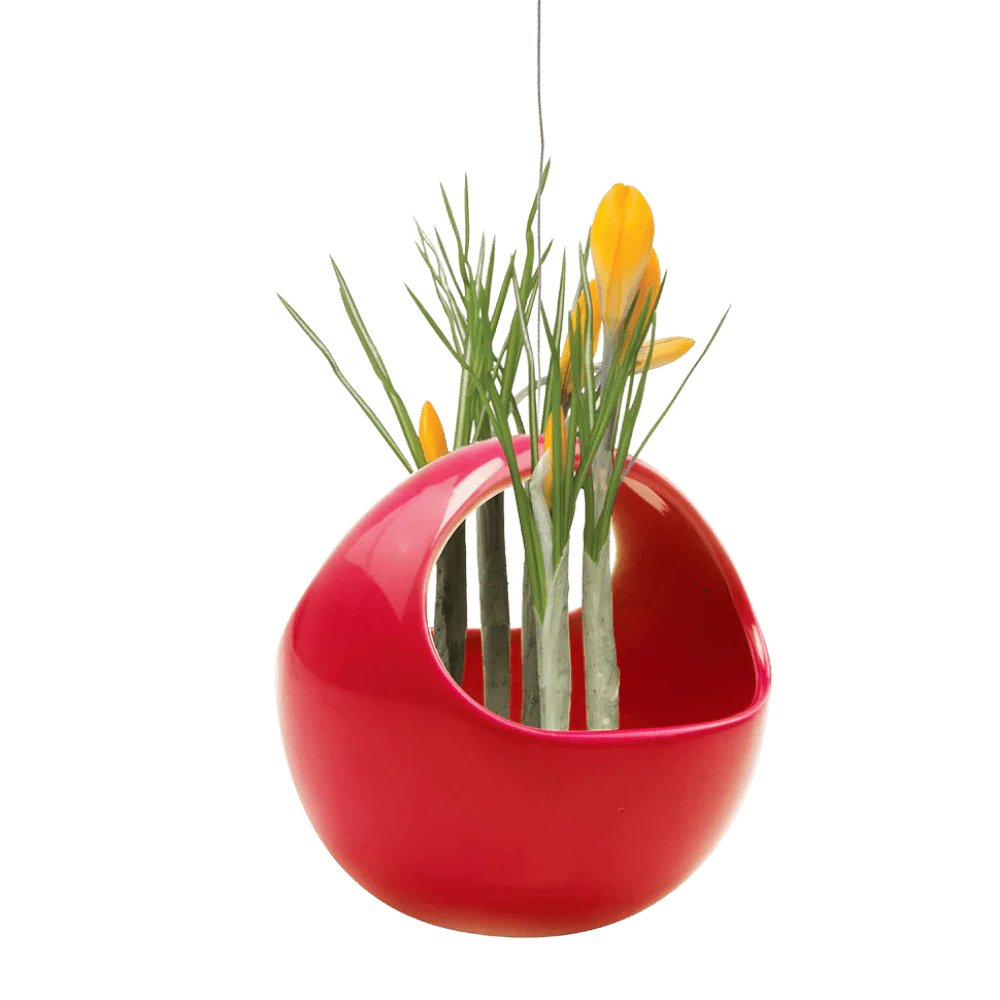 Hanging Aerium Ceramic For Succulents & Ikebana - Image 11