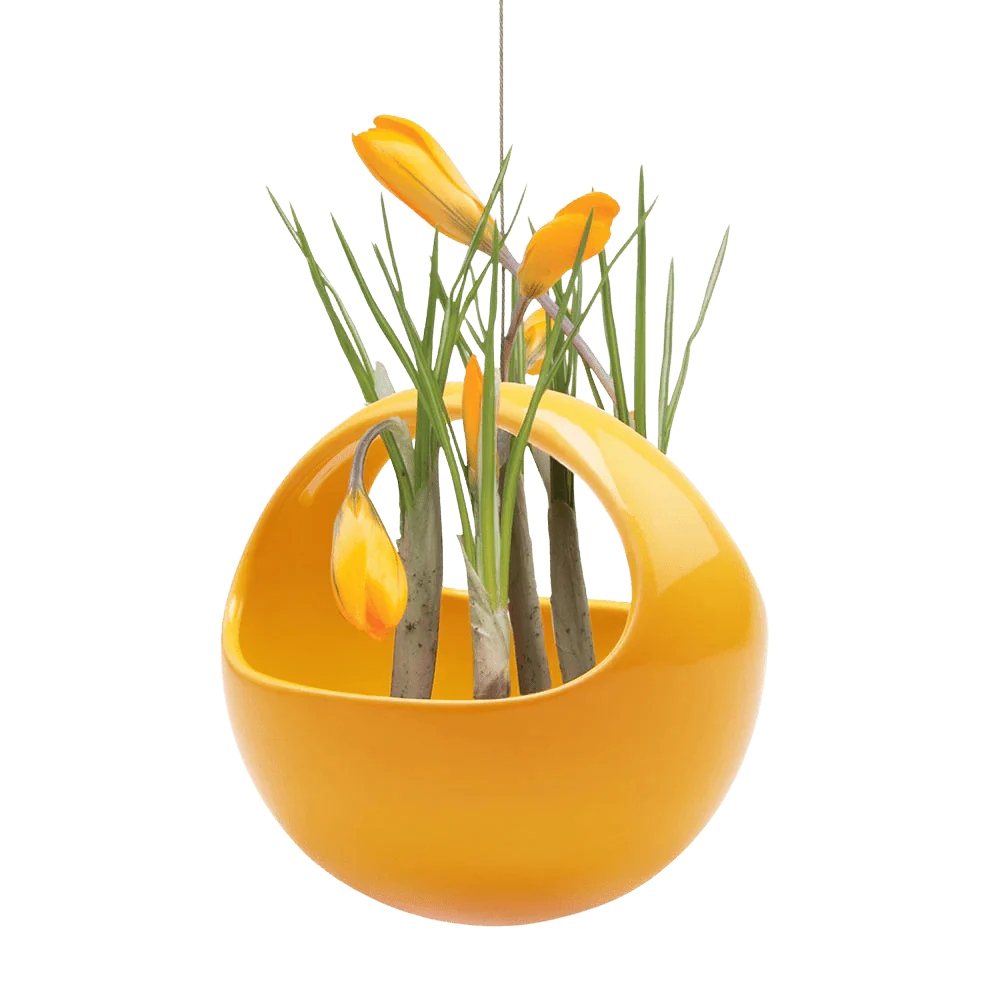 Hanging Aerium Ceramic For Succulents & Ikebana - Image 12