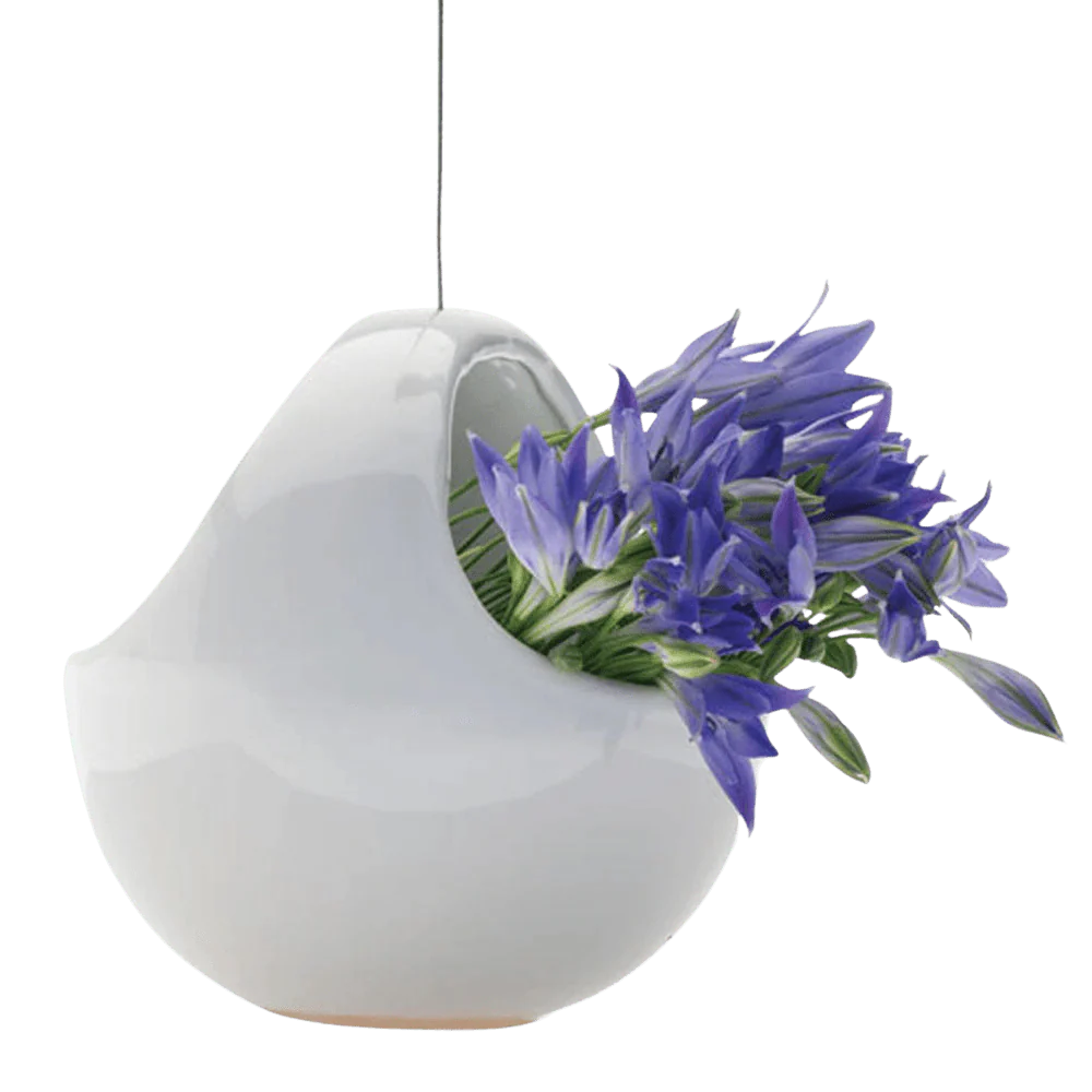 Hanging Aerium Ceramic For Succulents & Ikebana - Image 13