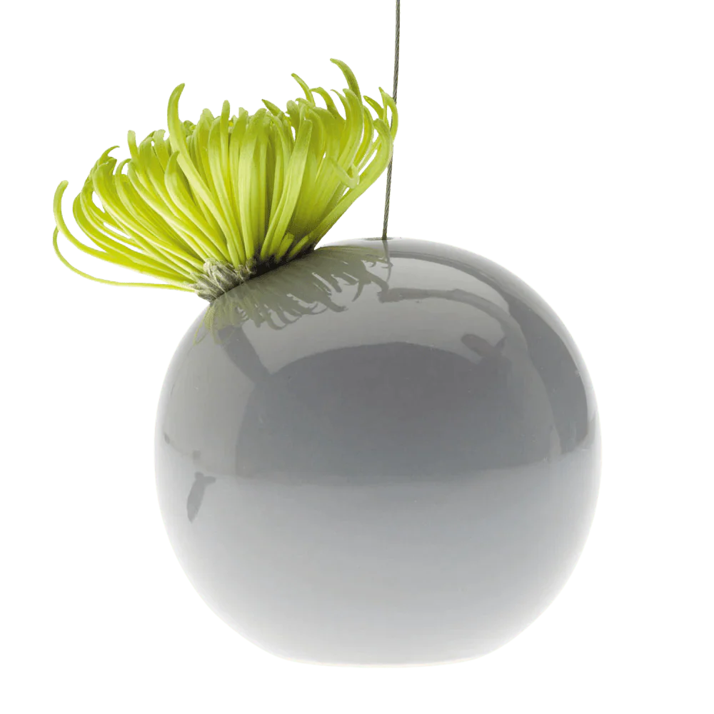 Hanging Aerium Ceramic For Succulents & Ikebana - Image 14