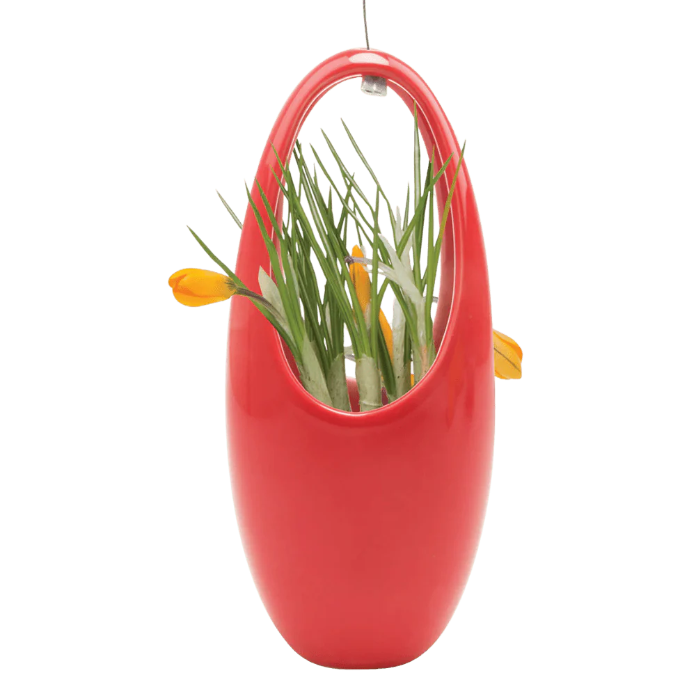 Hanging Aerium Ceramic For Succulents & Ikebana - Image 4