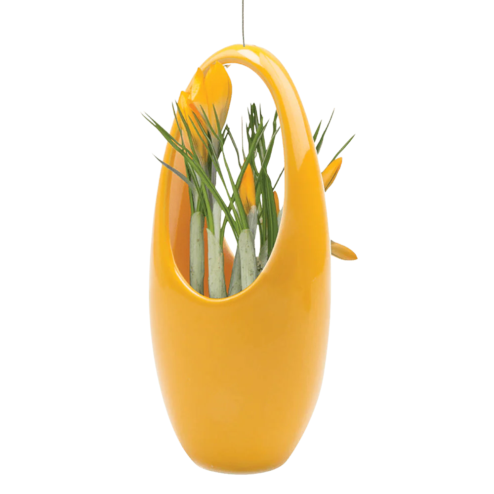 Hanging Aerium Ceramic For Succulents & Ikebana - Image 5