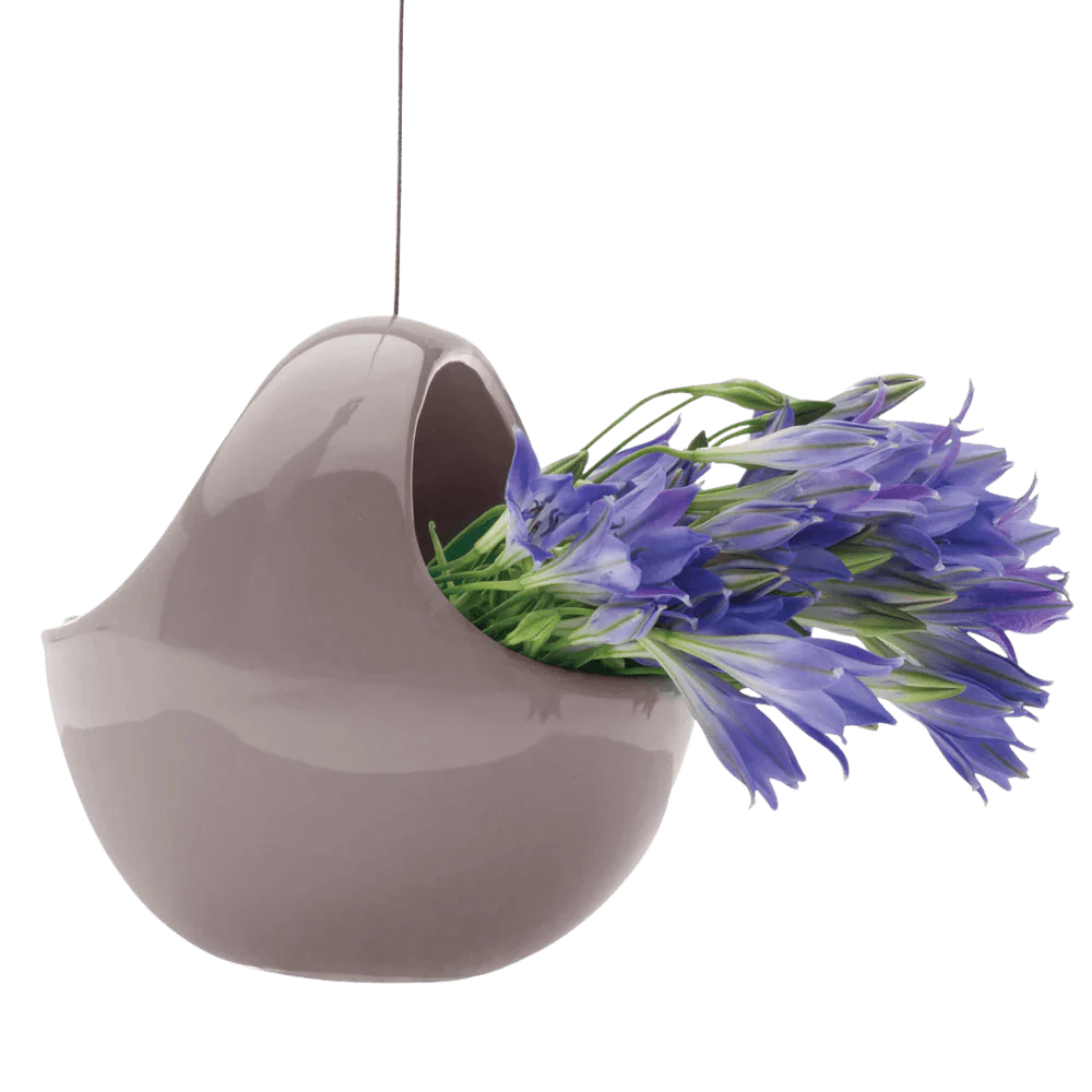 Hanging Aerium Ceramic For Succulents & Ikebana - Image 7