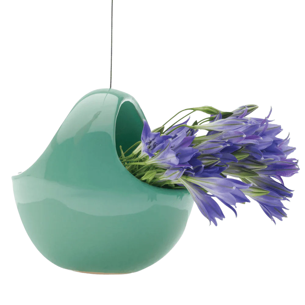 Hanging Aerium Ceramic For Succulents & Ikebana - Image 8
