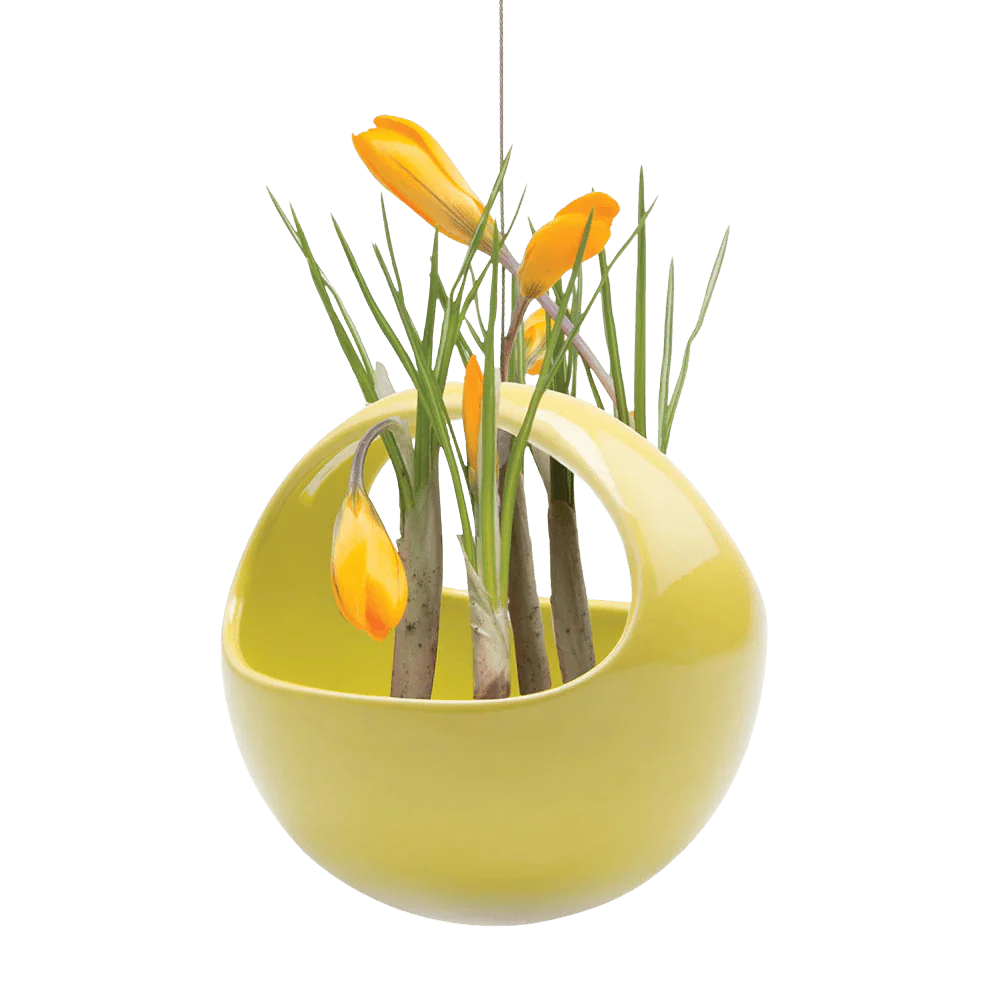 Hanging Aerium Ceramic For Succulents & Ikebana - Image 9
