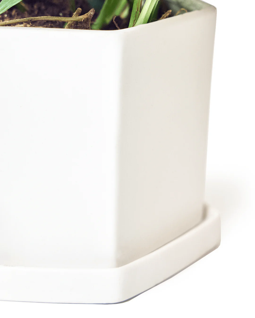 Hexi Porcelain Pot With Drainage Hole | 3.5 inch - Image 4