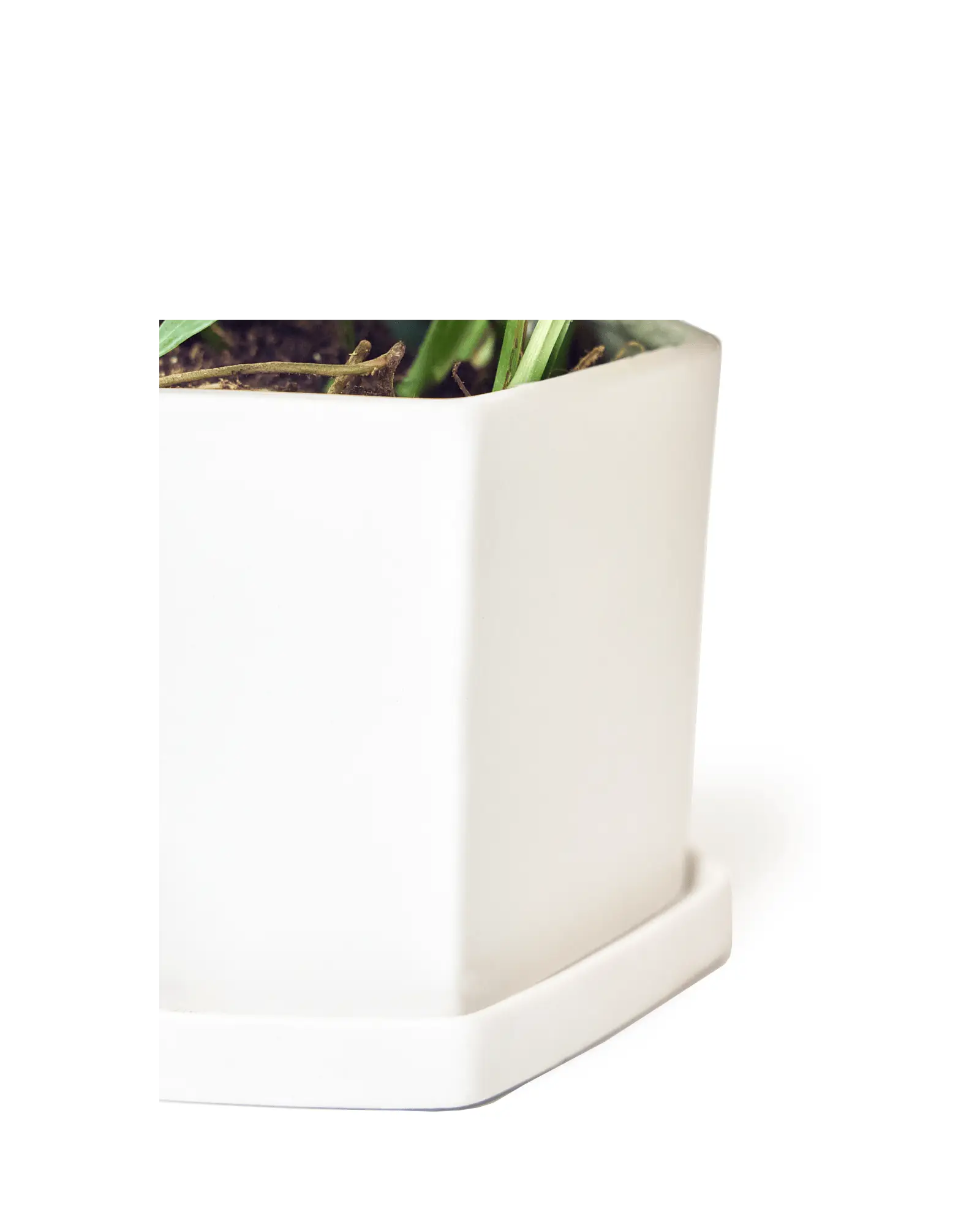 Hexi Porcelain Pot With Drainage Hole | 4.5 inch - Image 4