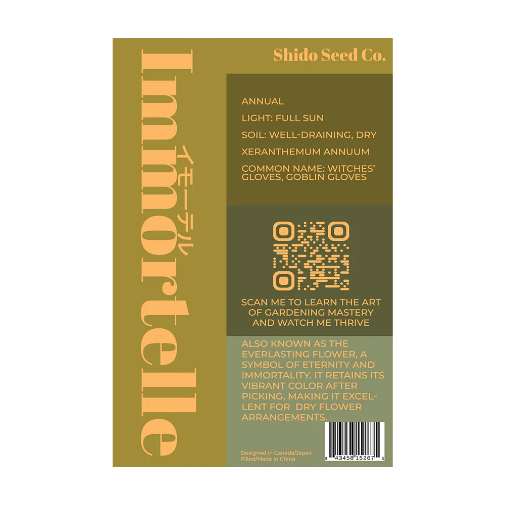 Immortelle Flower Seeds Packet - Image 2