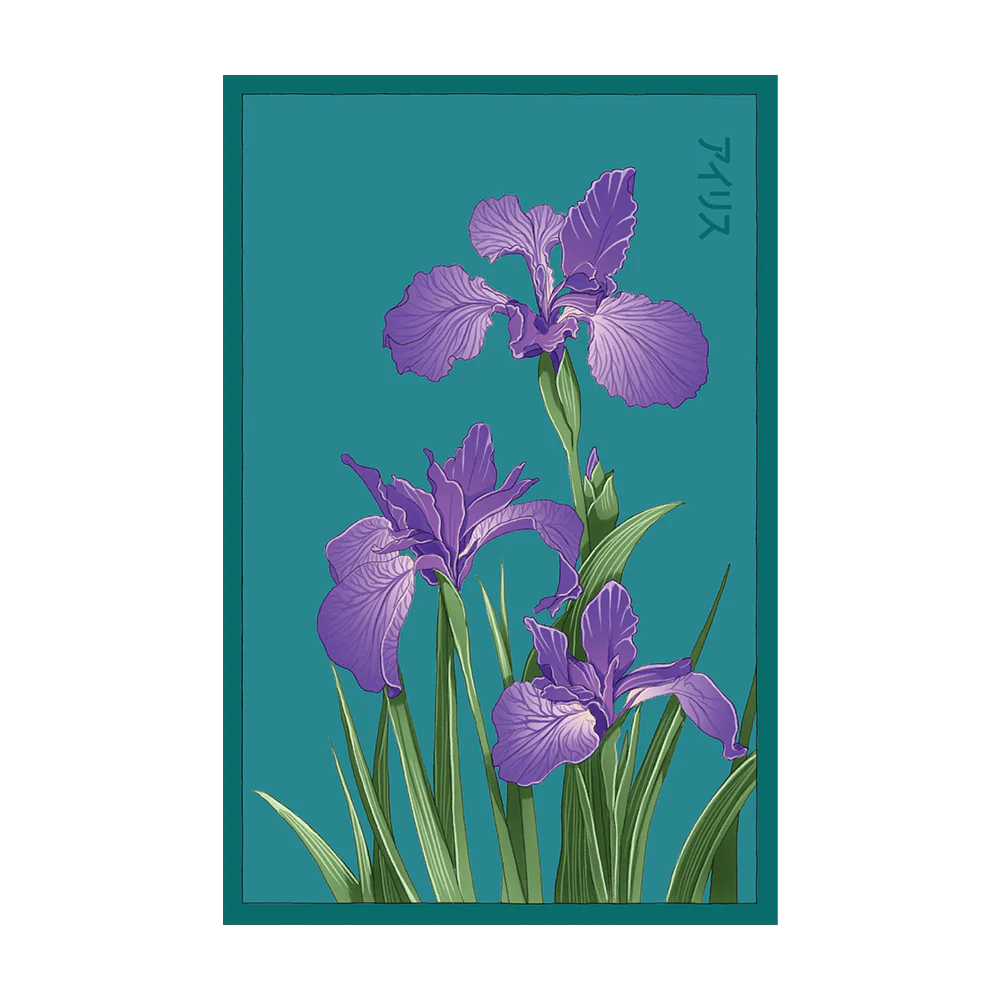 Iris Flower Seeds Packet
