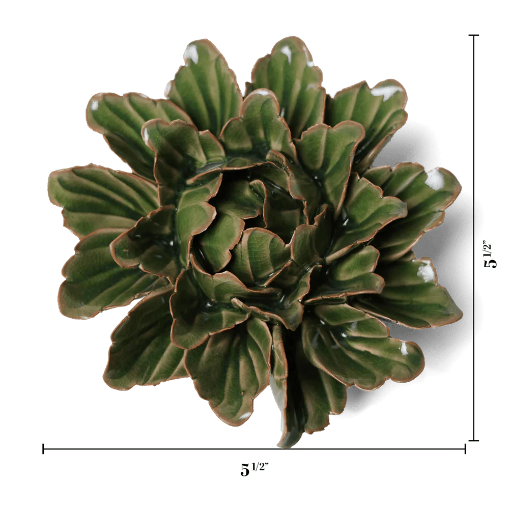 Avocado Green Sorbet Peony - Image 3