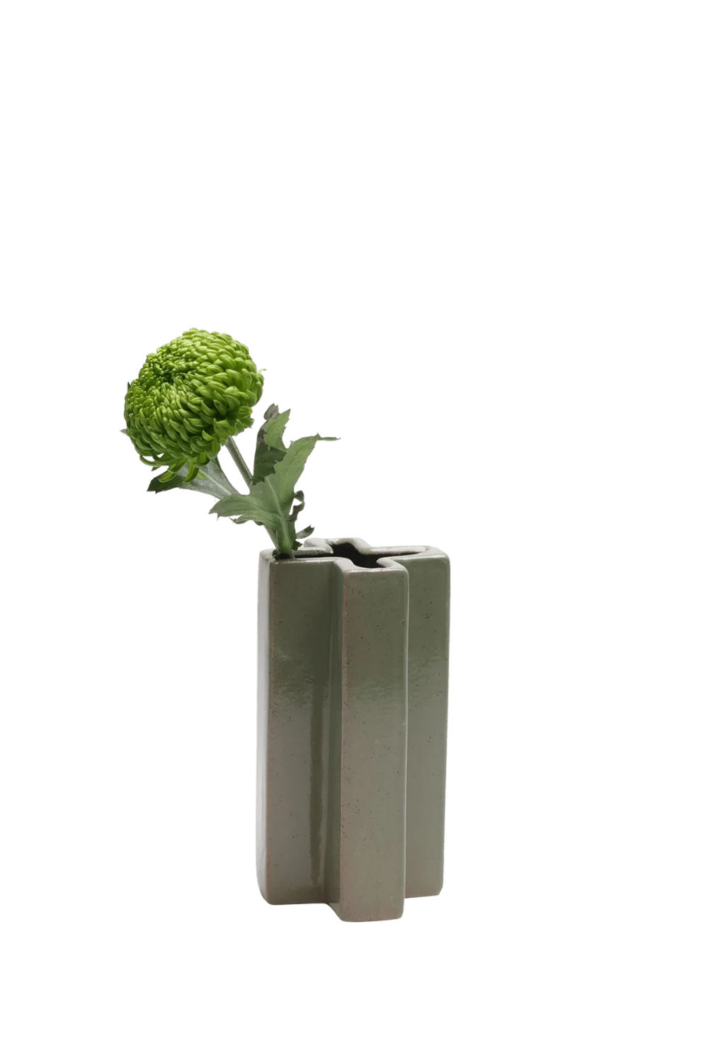 Jargogle Ceramic Unique Flower Vase