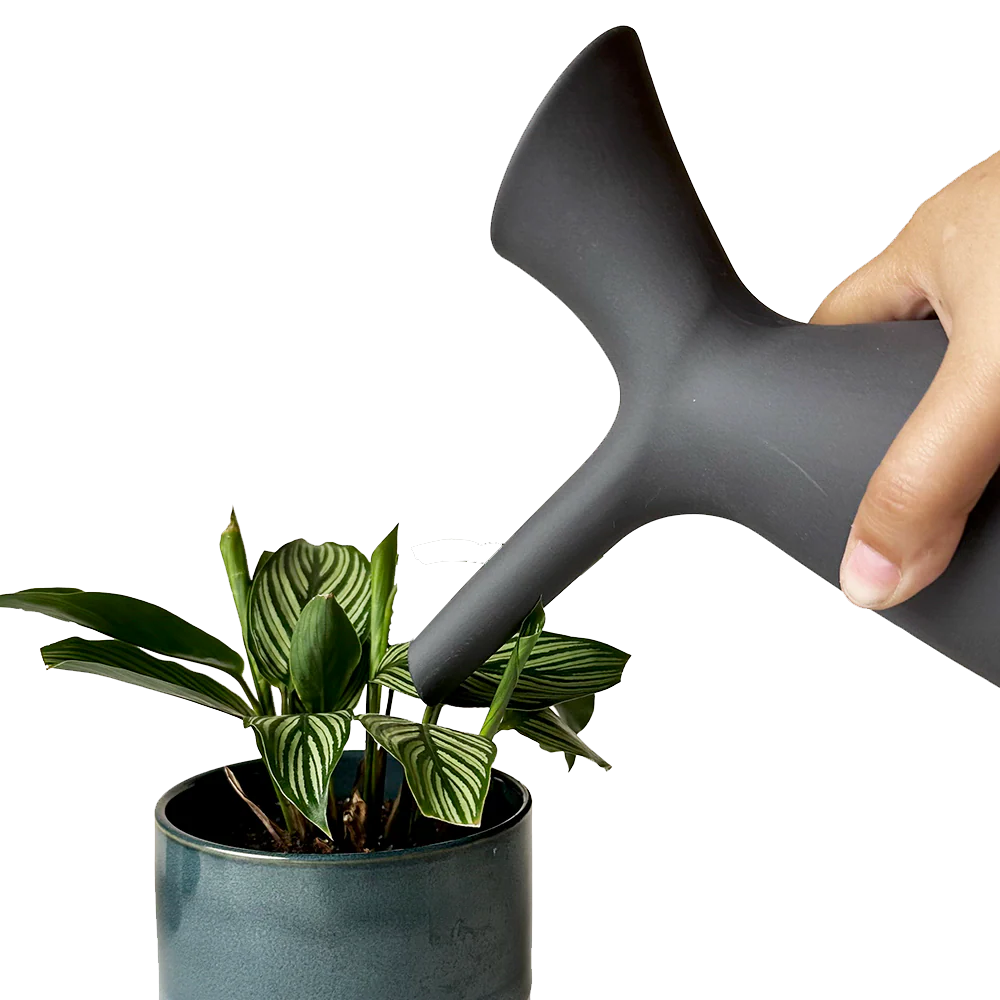 Jessie Ceramic Watering Jug - Charcoal - Image 3
