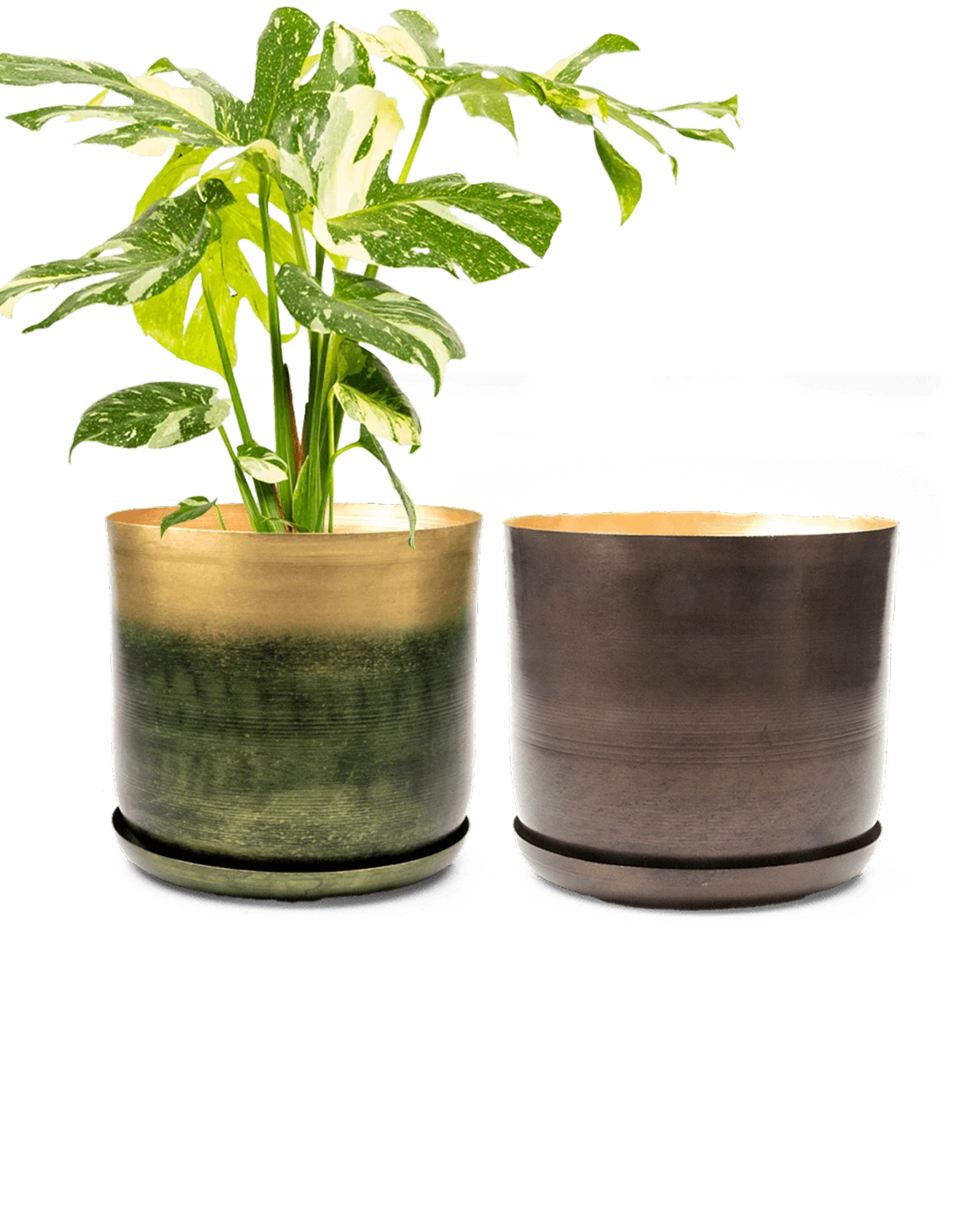 Joe Large Metal Pot With Drainage Hole, Bronzed Brown - Image 4