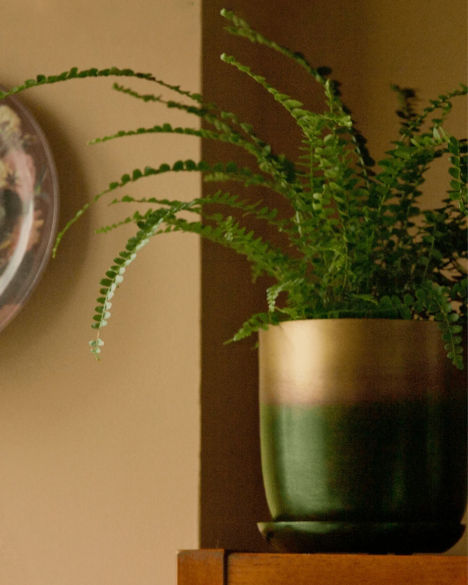 Joe Large Metal Pot With Drainage Hole, Forest & Gold - Image 2