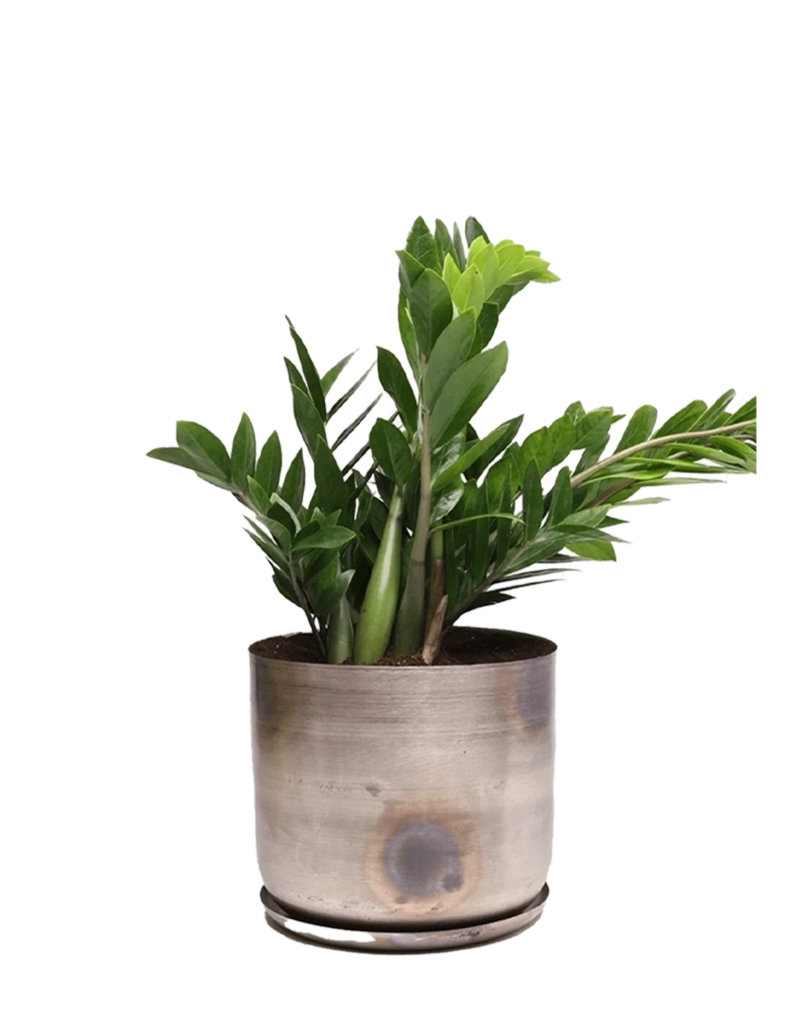 Joe Large Metal Pot With Drainage Hole, Silver