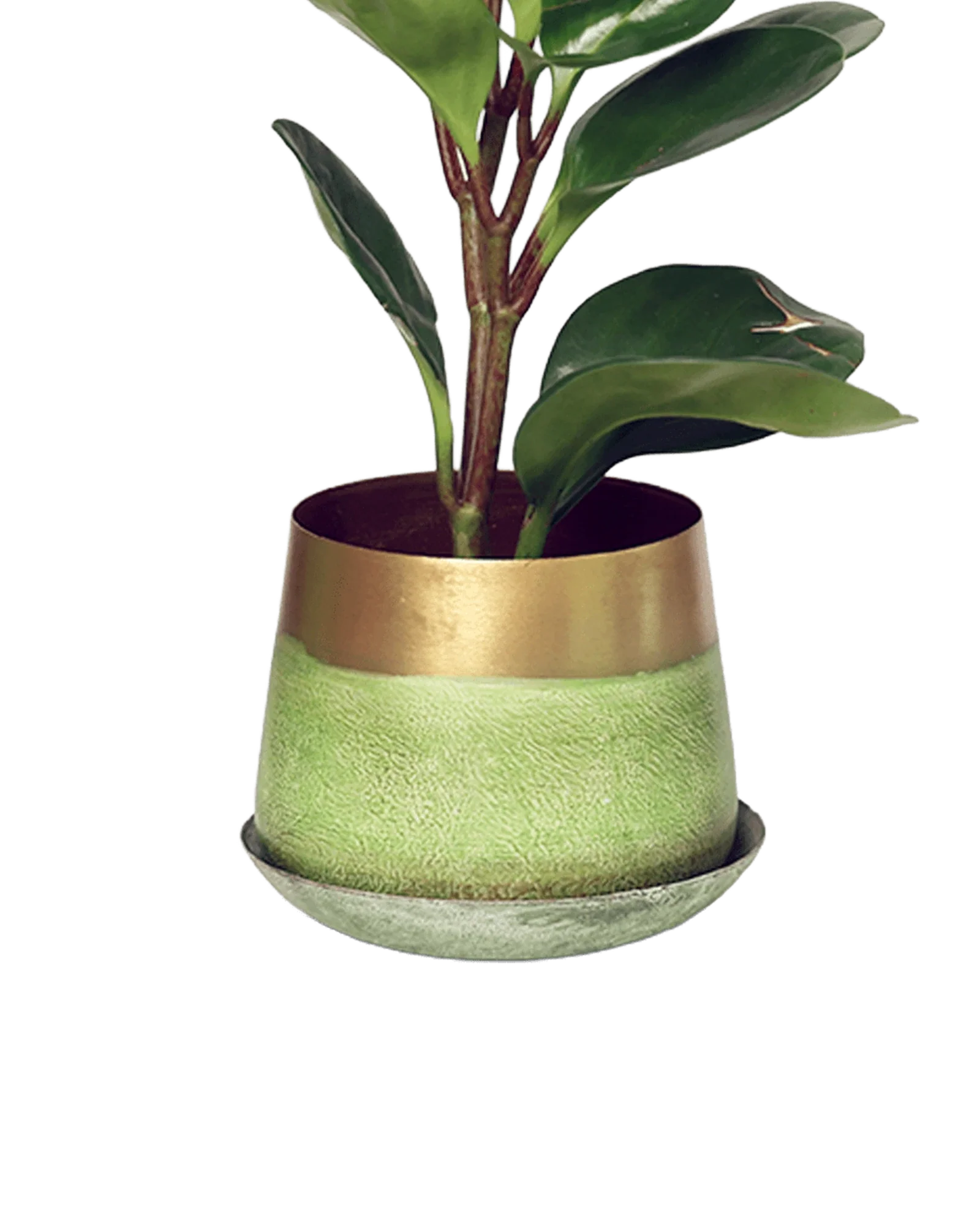 Joe Metal Pot With Drainage Hole | 3 inch - Image 12