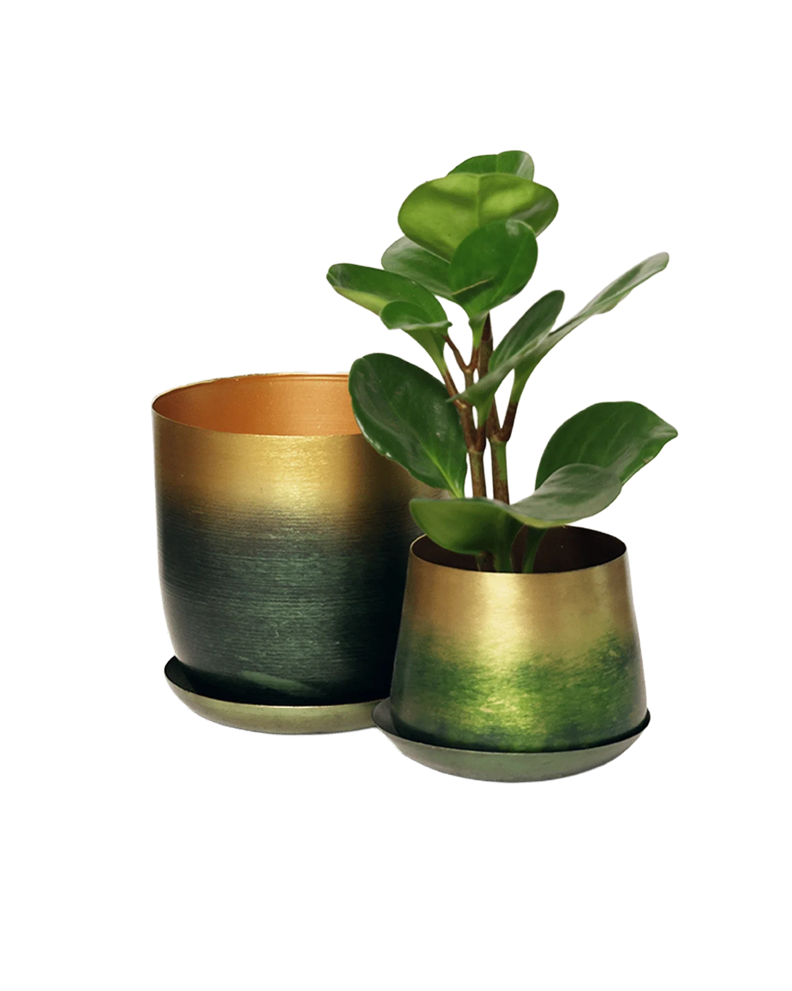 Joe Metal Pot With Drainage Hole | 3 inch - Image 26