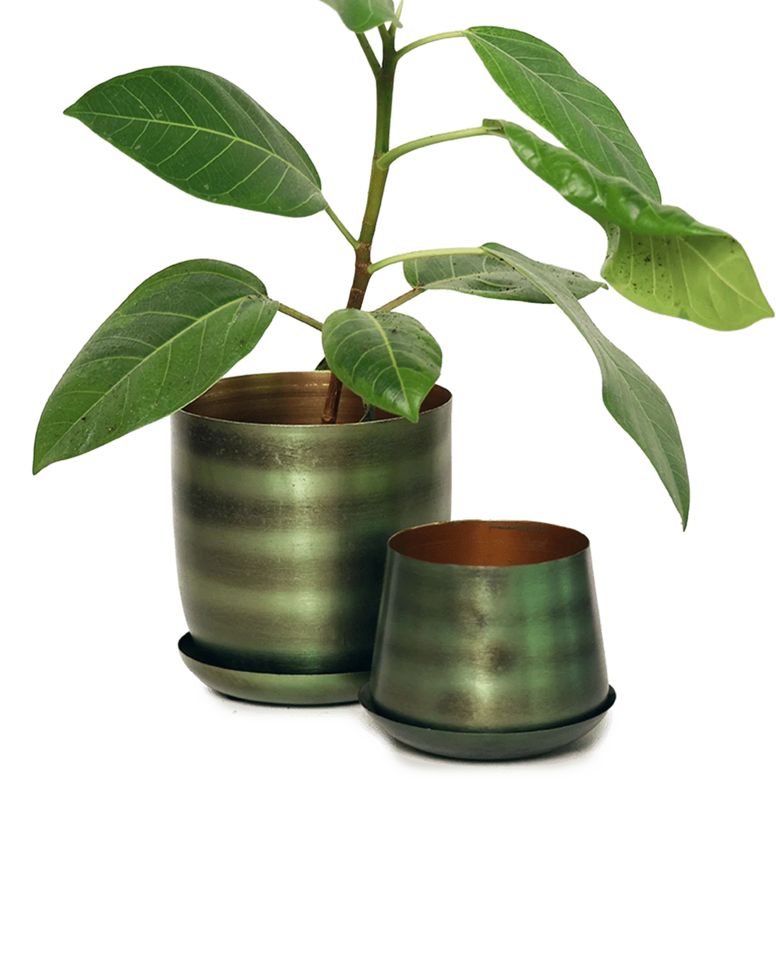 Joe Metal Pot With Drainage Hole | 3 inch - Image 30