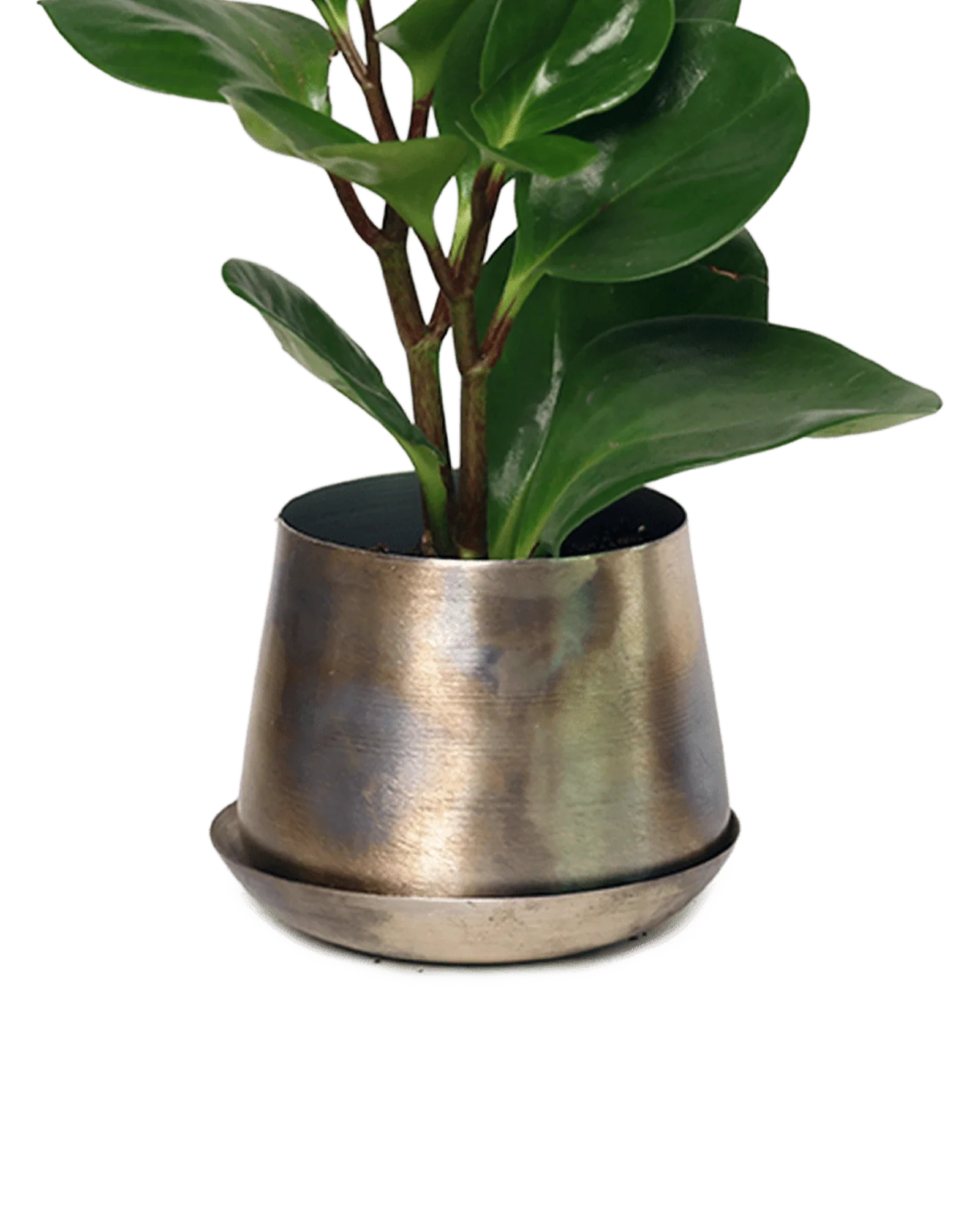 Joe Metal Pot With Drainage Hole | 3 inch - Image 9