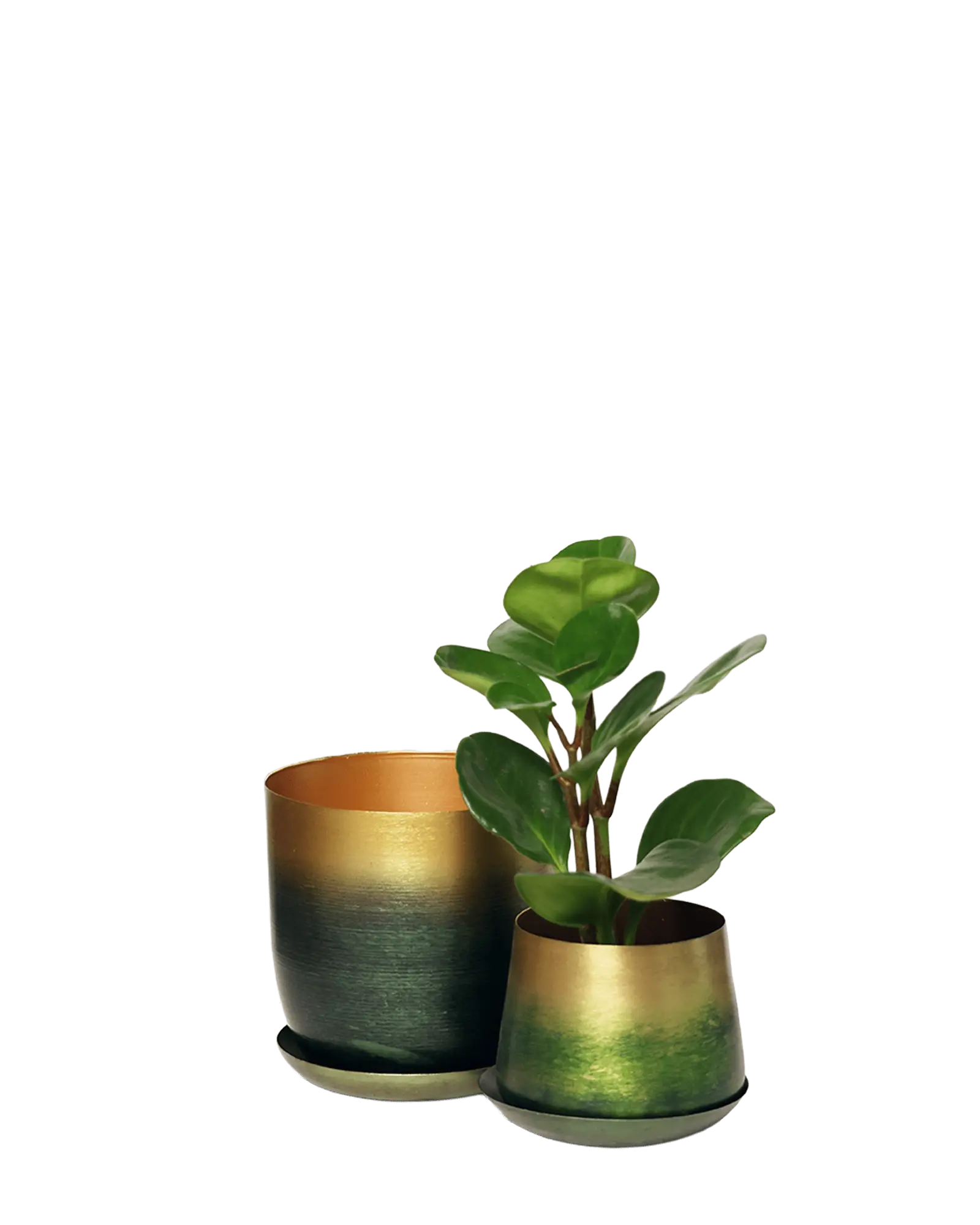 Joe Metal Pot With Drainage Hole | 5 inch - Image 21