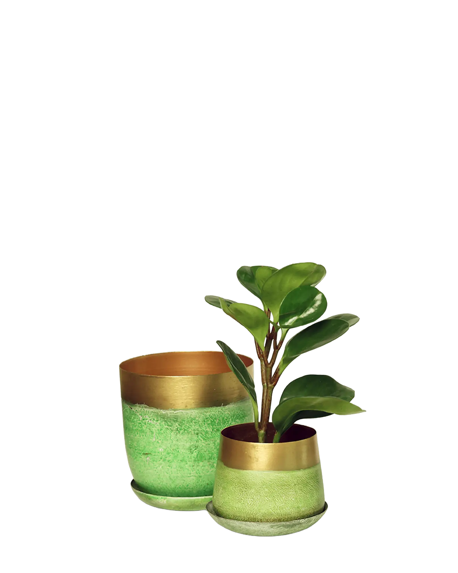 Joe Metal Pot With Drainage Hole | 5 inch - Image 9