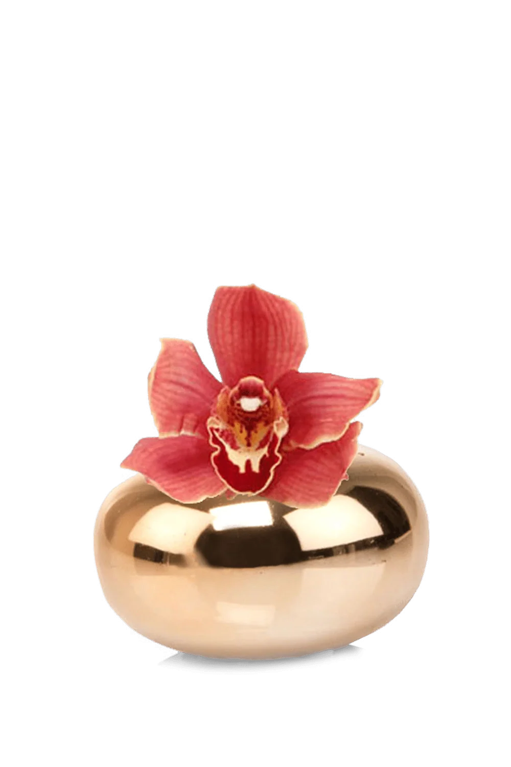 Jojo Ceramic Bud Vase For Flowers