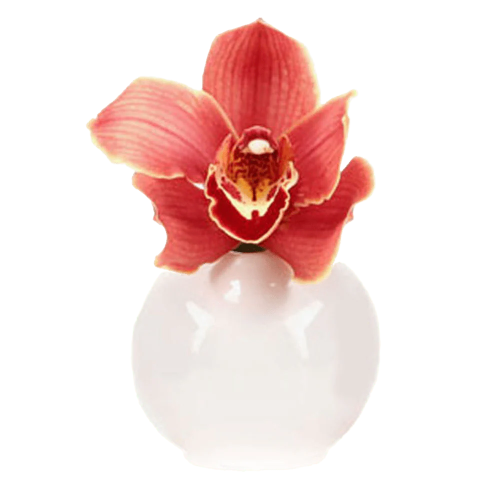 Jojo Ceramic Bud Vase For Flowers - Image 9