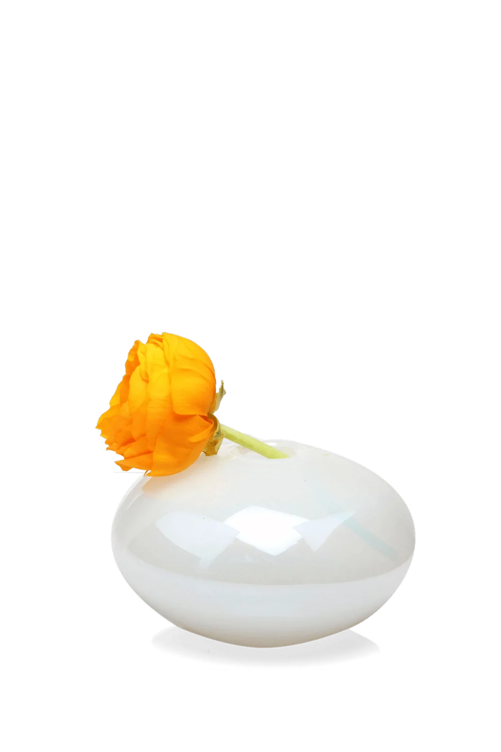 Jordan Glass Modern Flower Vase