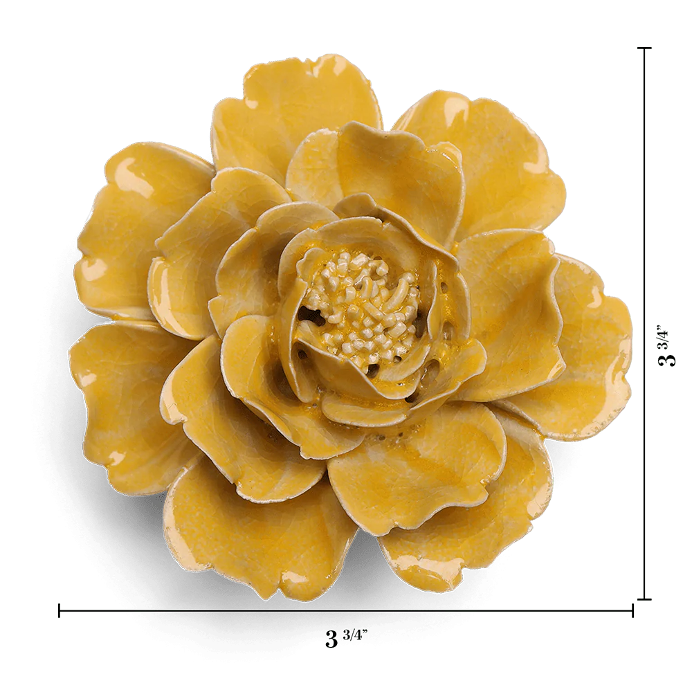 June Birth Flower - Rose - Image 3
