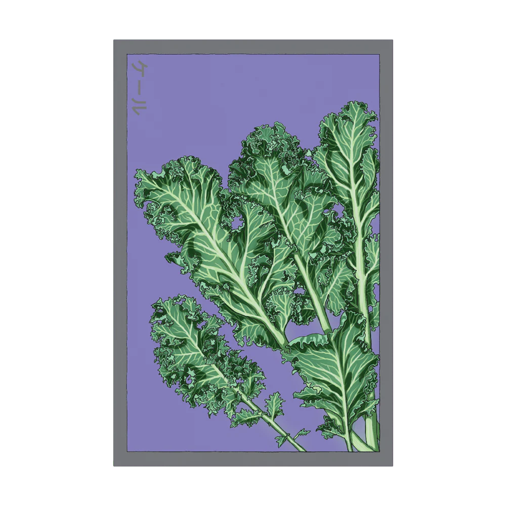 Kale Vegetable Seeds Packet