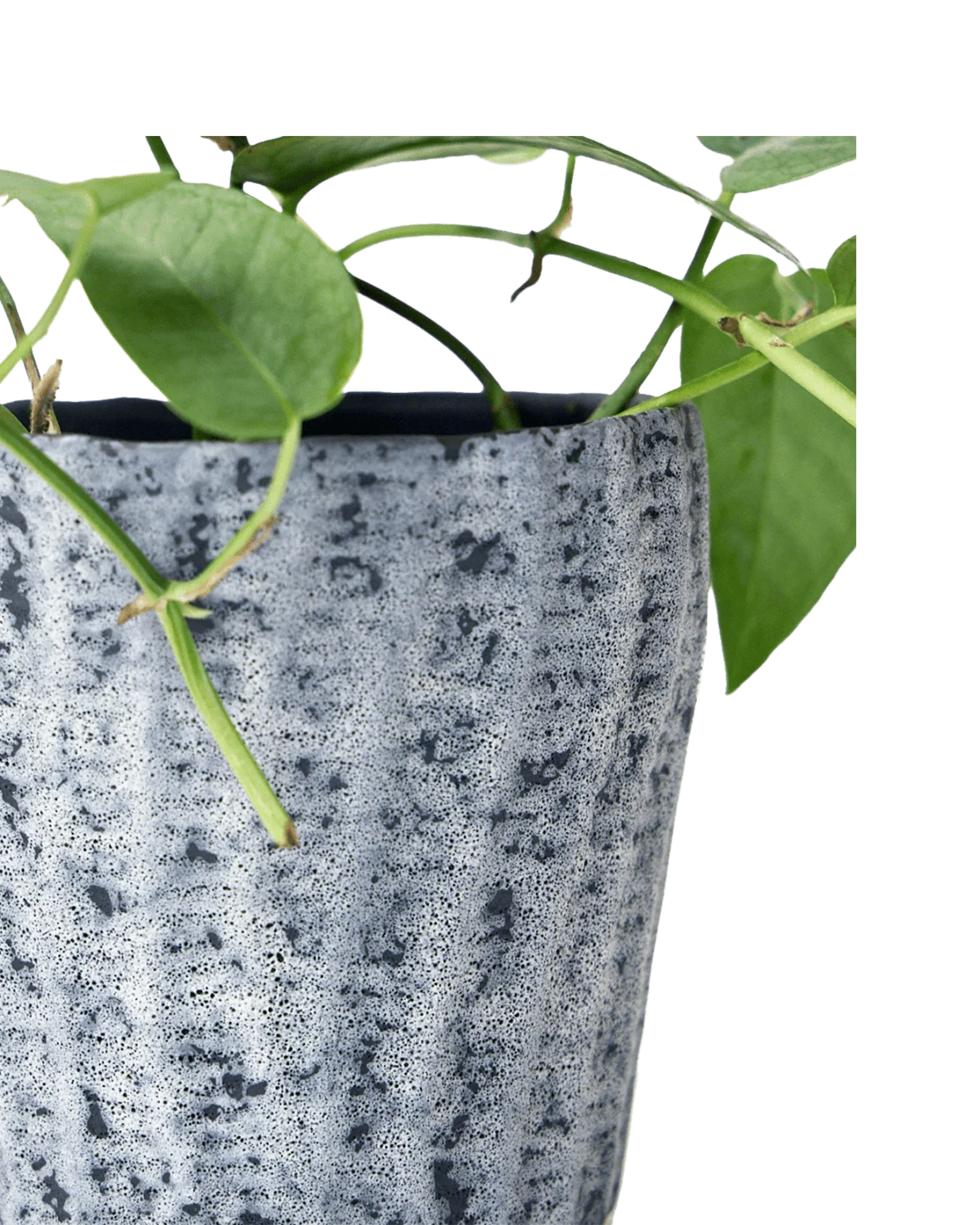 Katakana Ceramic Pot Planter - Image 10