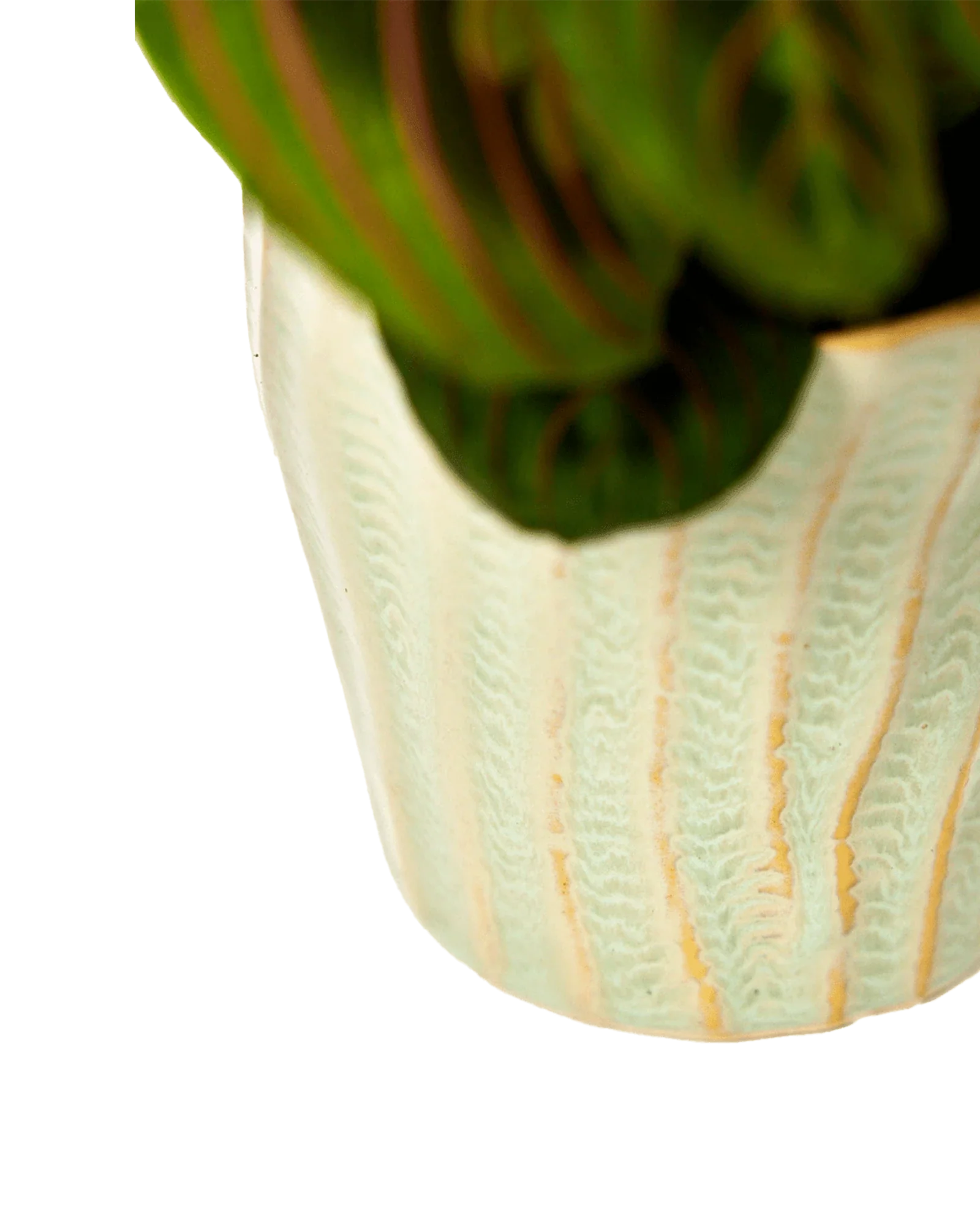 Katakana Ceramic Pot Planter - Image 16