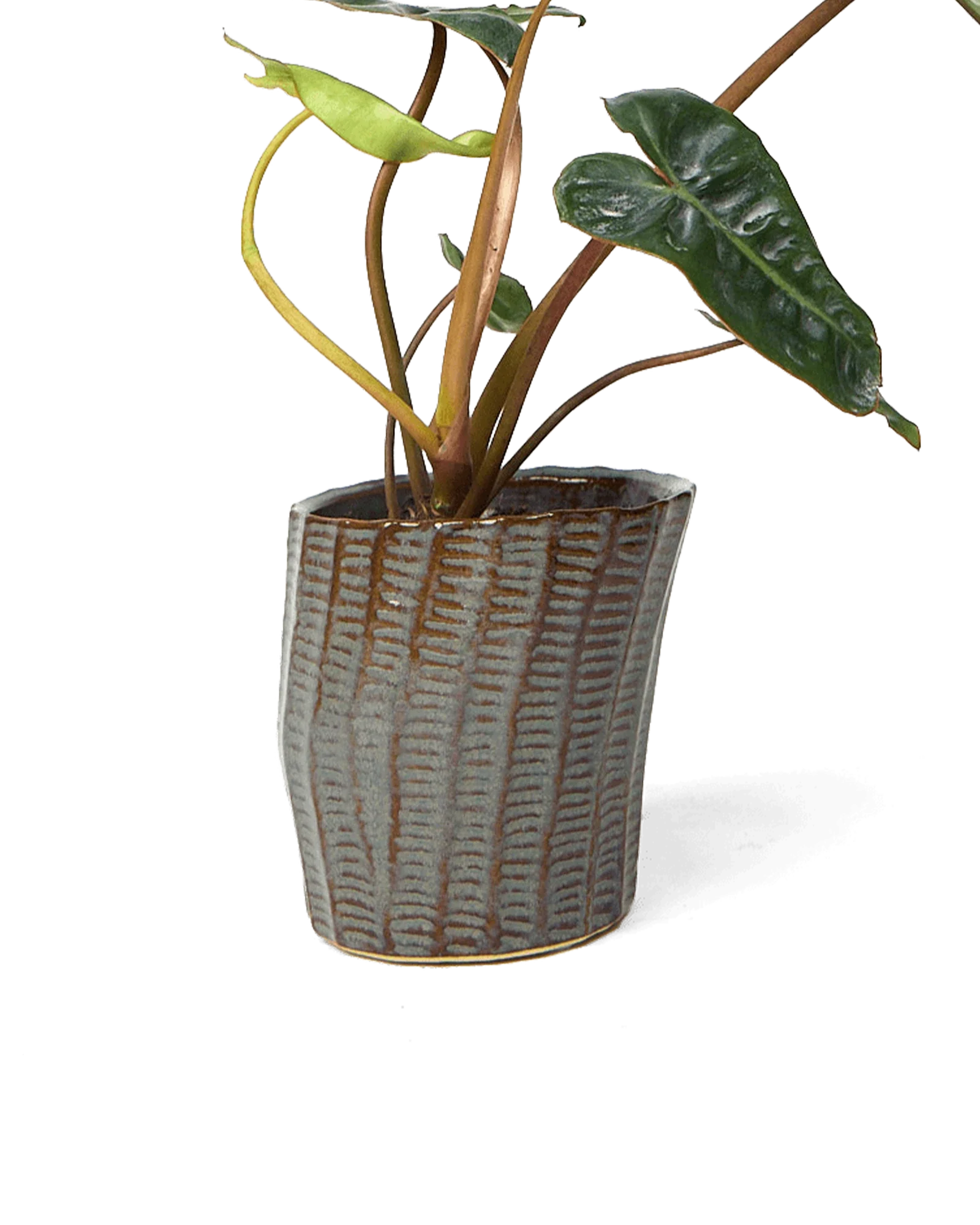 Katakana Ceramic Pot Planter - Image 19
