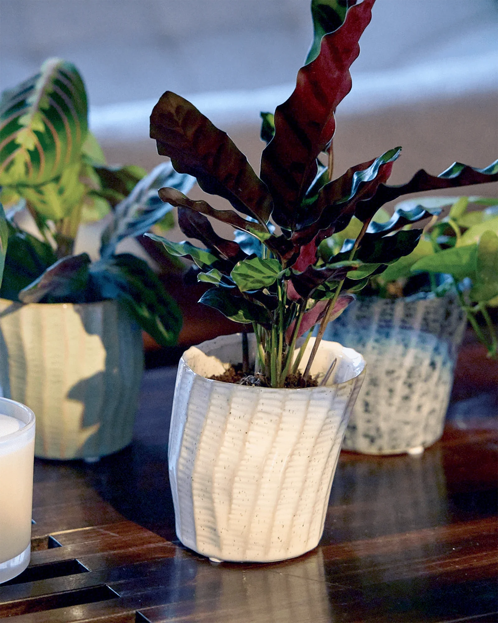 Katakana Ceramic Pot Planter - Image 2