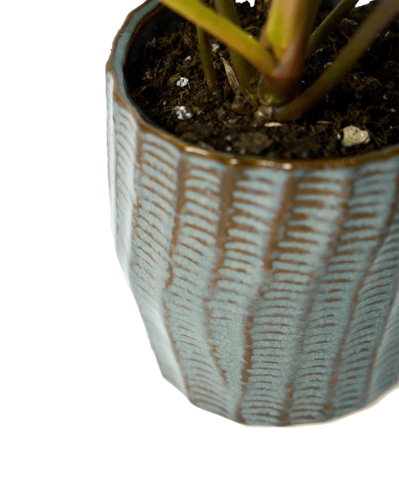 Katakana Ceramic Pot Planter - Image 21