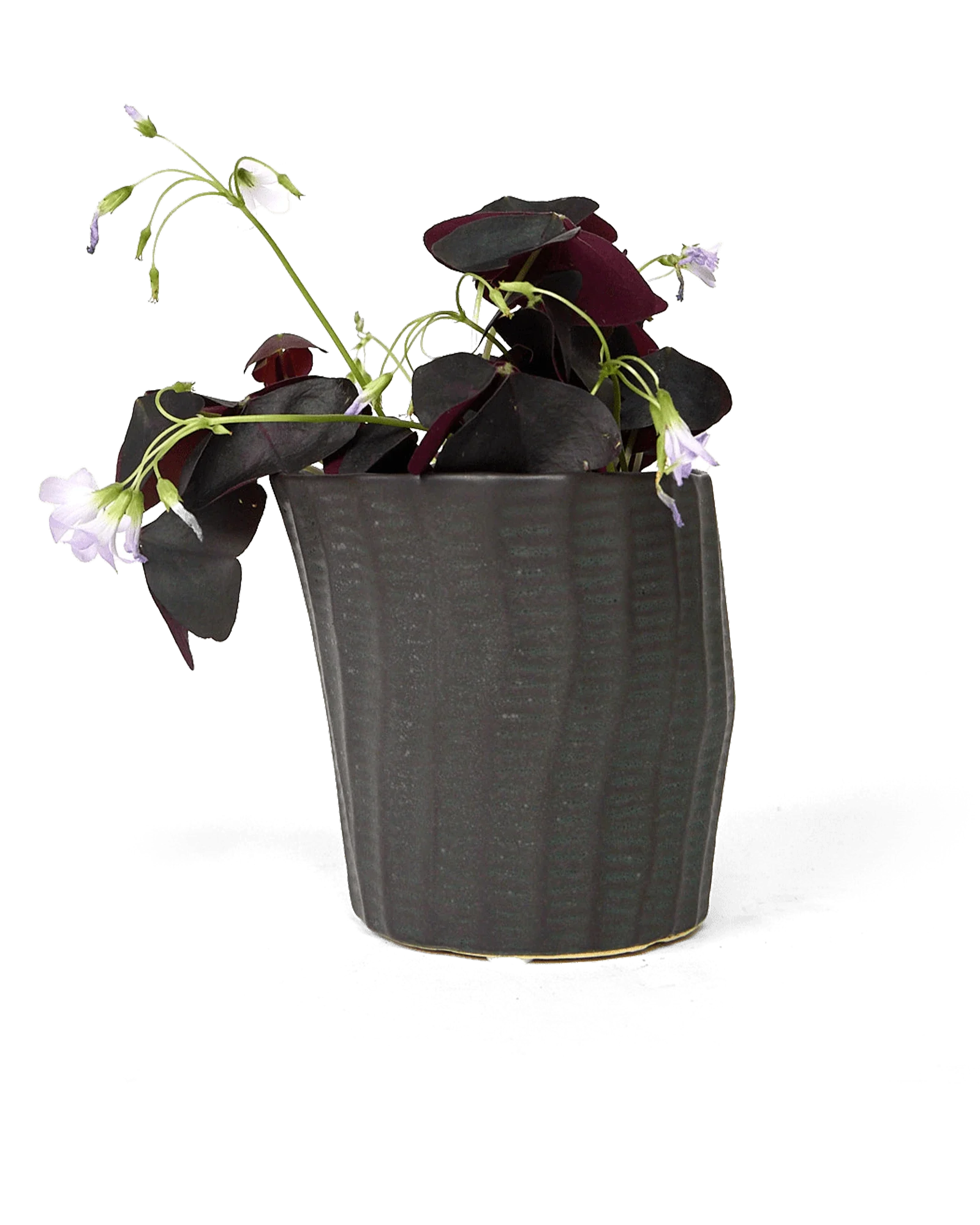 Katakana Ceramic Pot Planter - Image 23