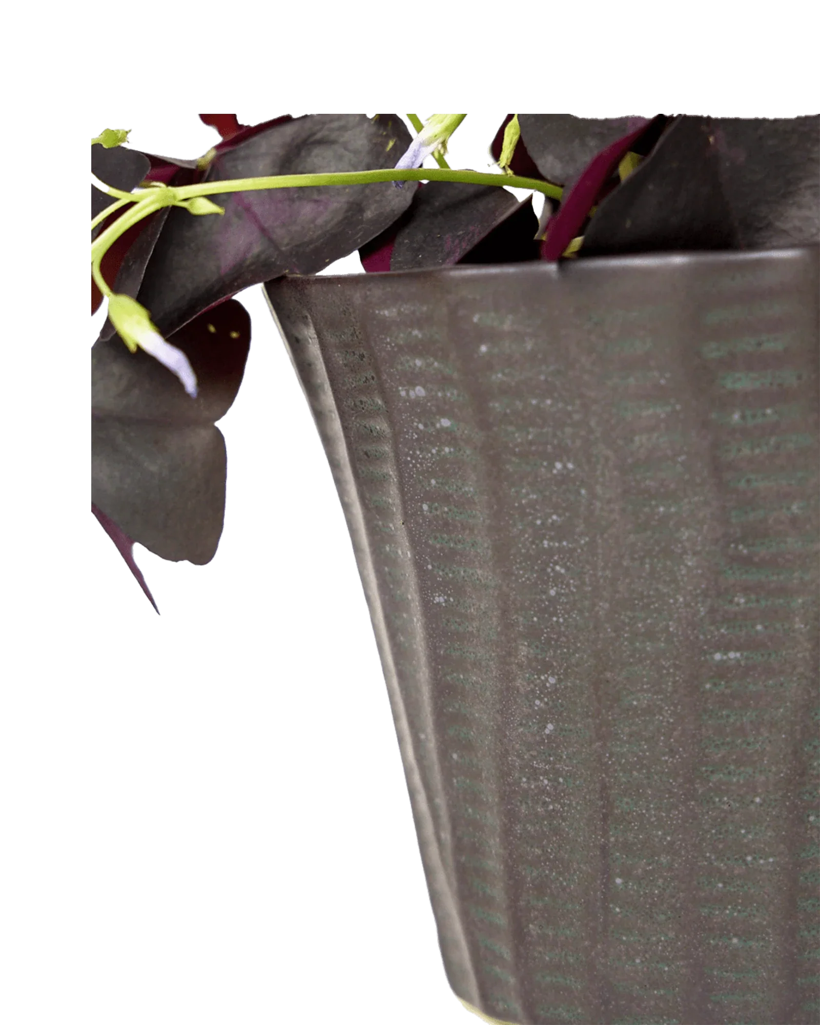 Katakana Ceramic Pot Planter - Image 25