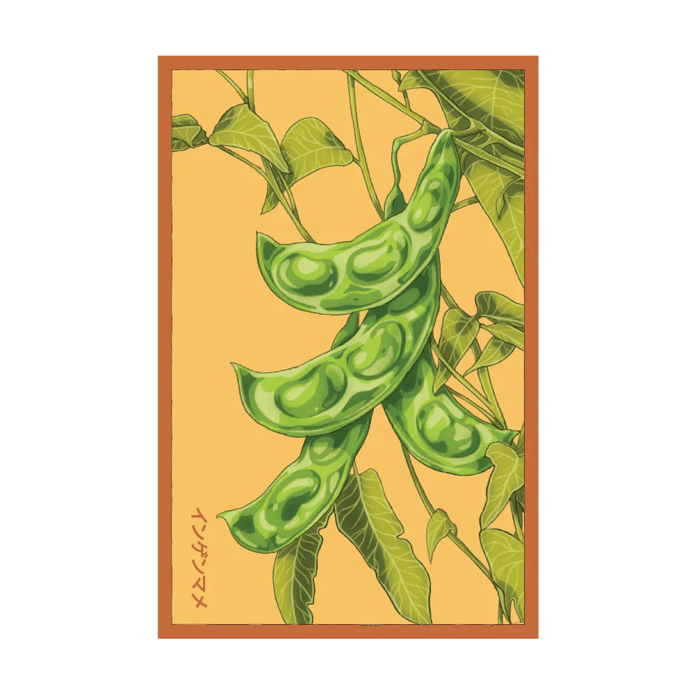 King of the Garden Bean Vegetable Seeds Packet