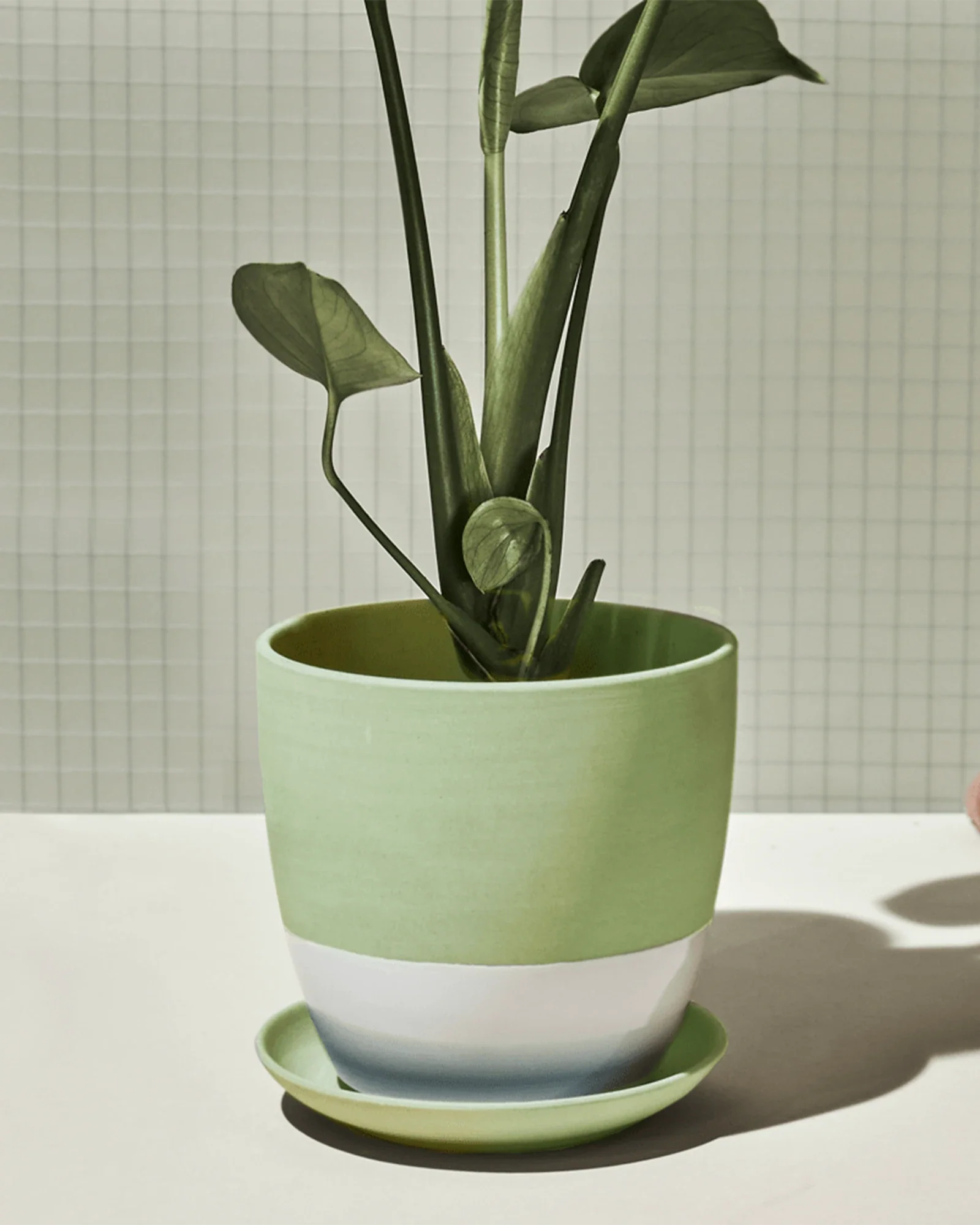 Dyad Large Porcelain Plant Pot, Olive - Image 2