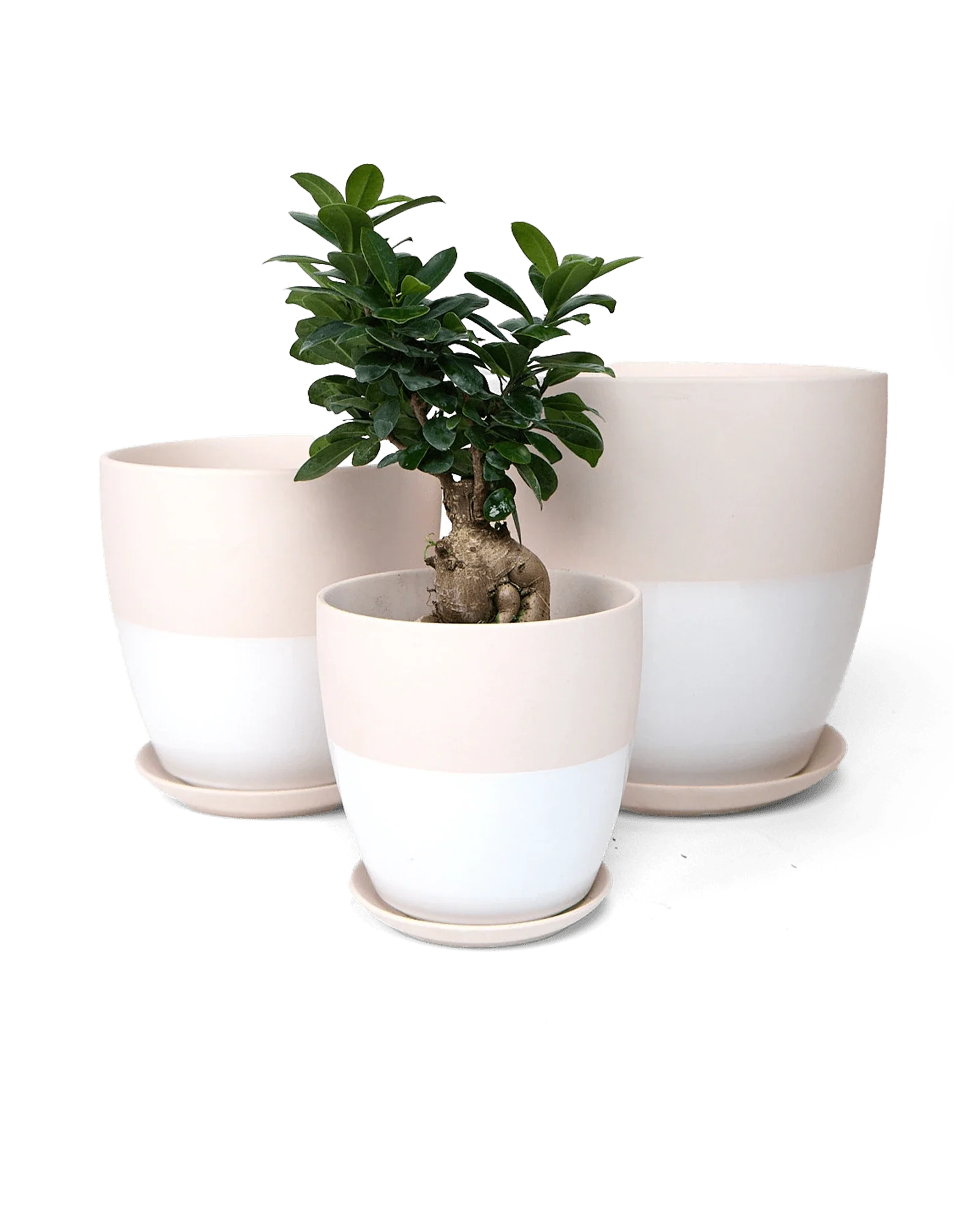 Dyad Large Porcelain Plant Pot, Soft Pink - Image 2