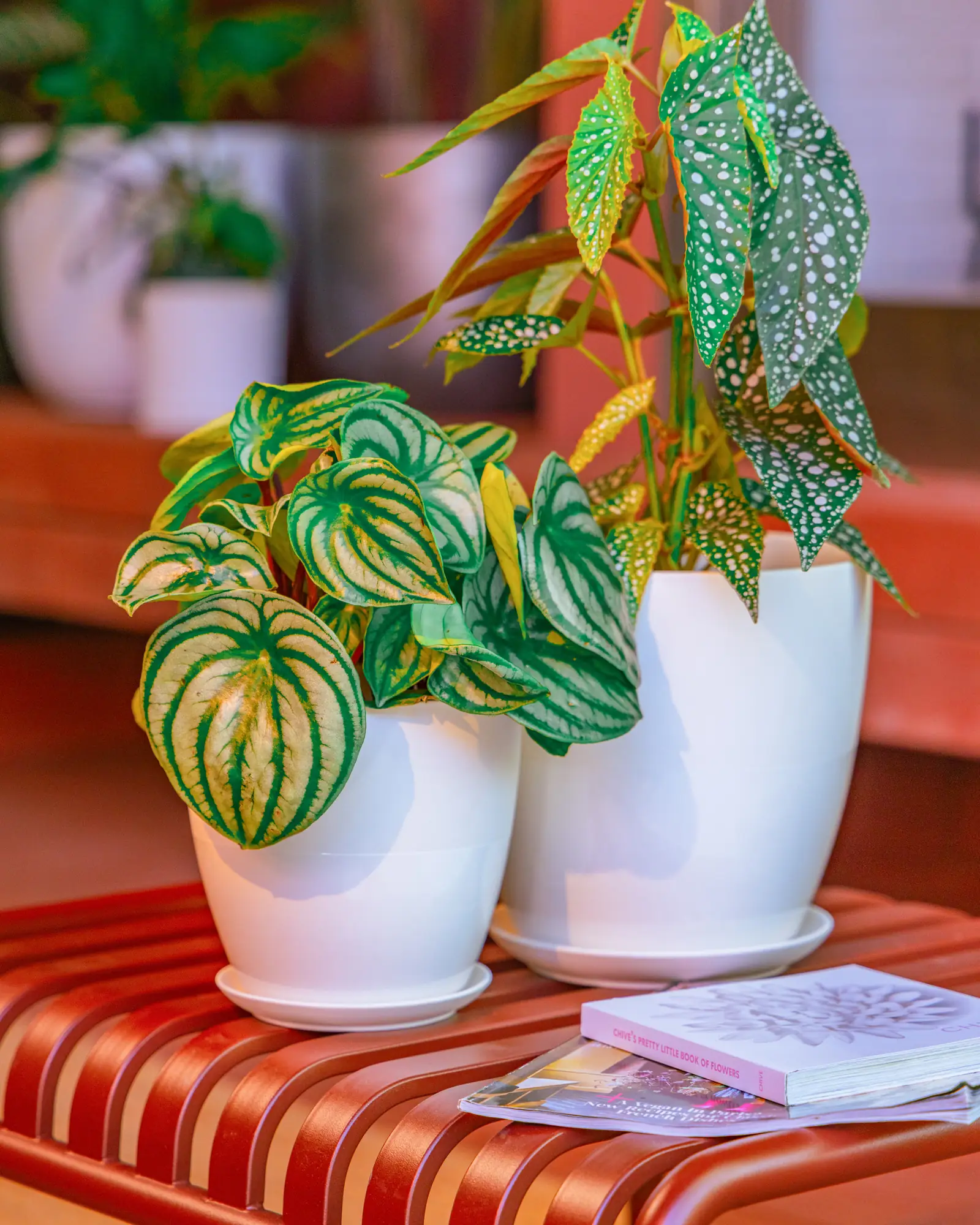 Dyad Large Porcelain Plant Pot, White - Image 3