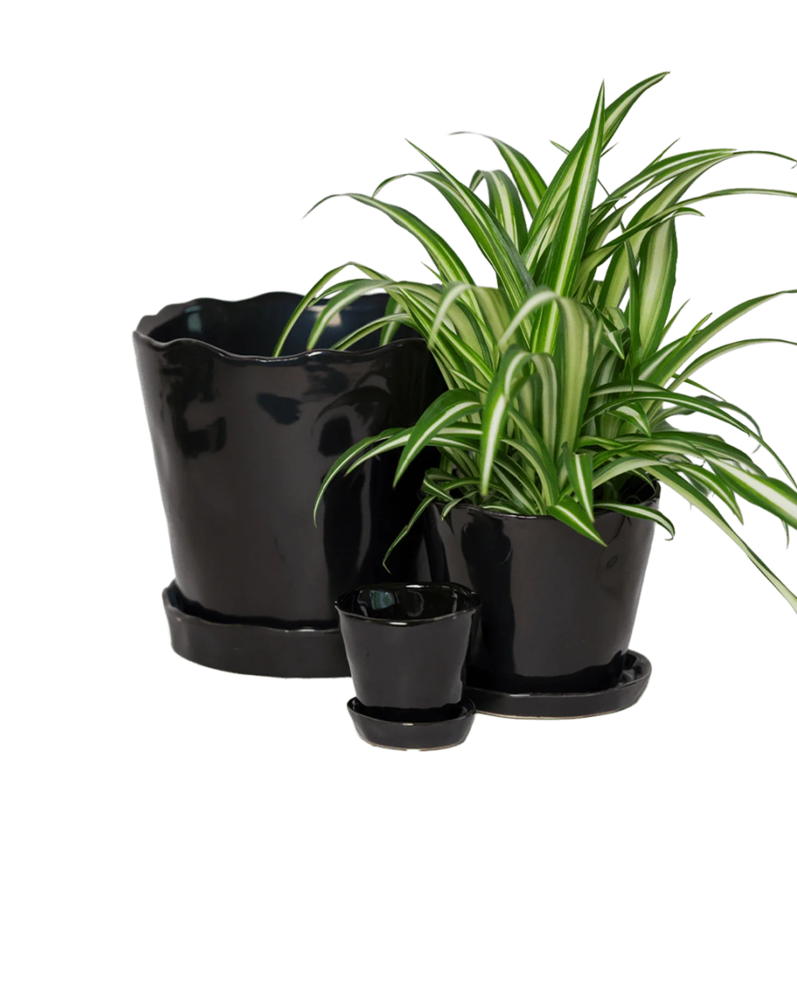 Tika Large Ceramic Plant Pot with Drainage Hole and Saucer, Black - Image 4