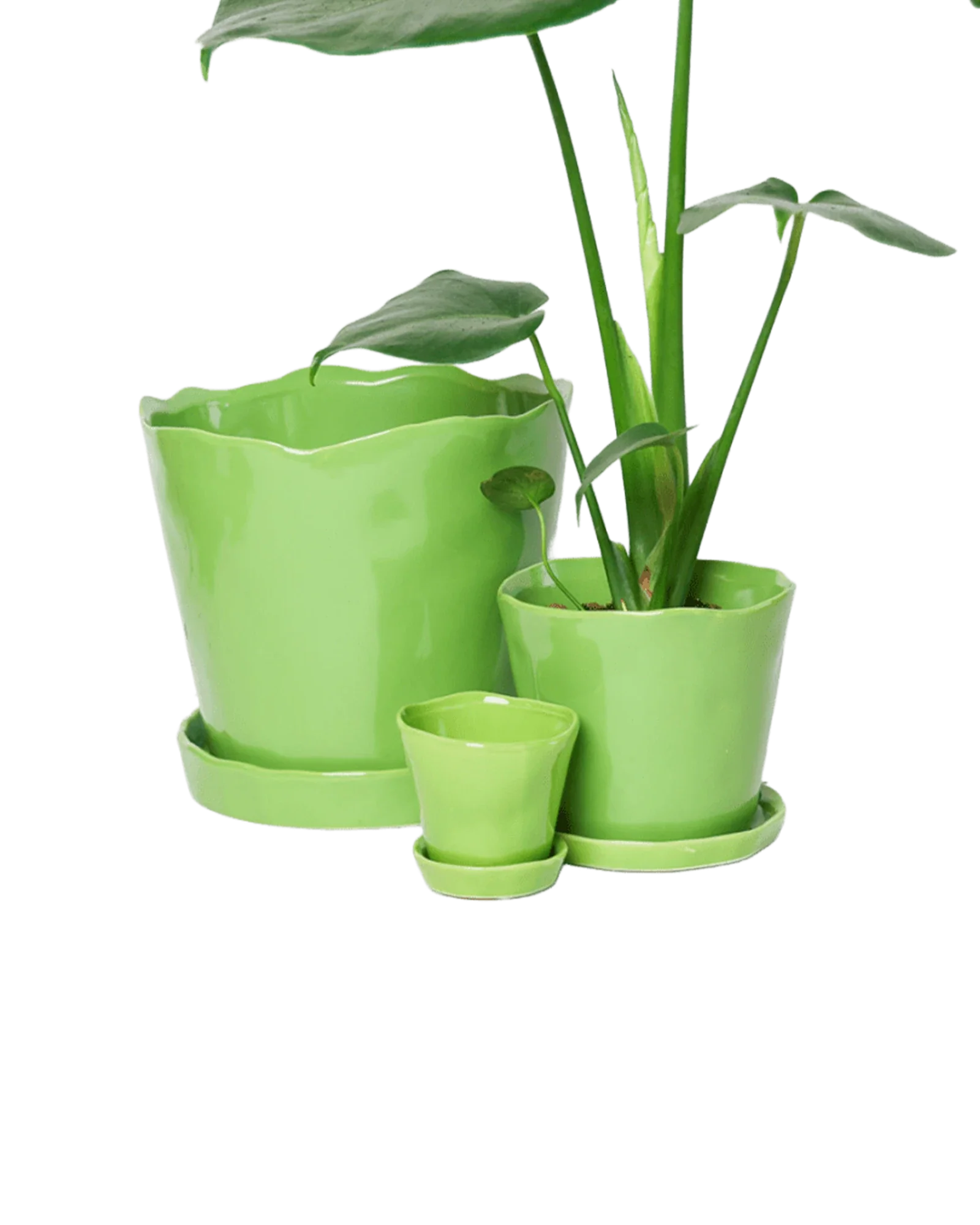 Tika Large Ceramic Plant Pot with Drainage Hole and Saucer, Greenery - Image 5